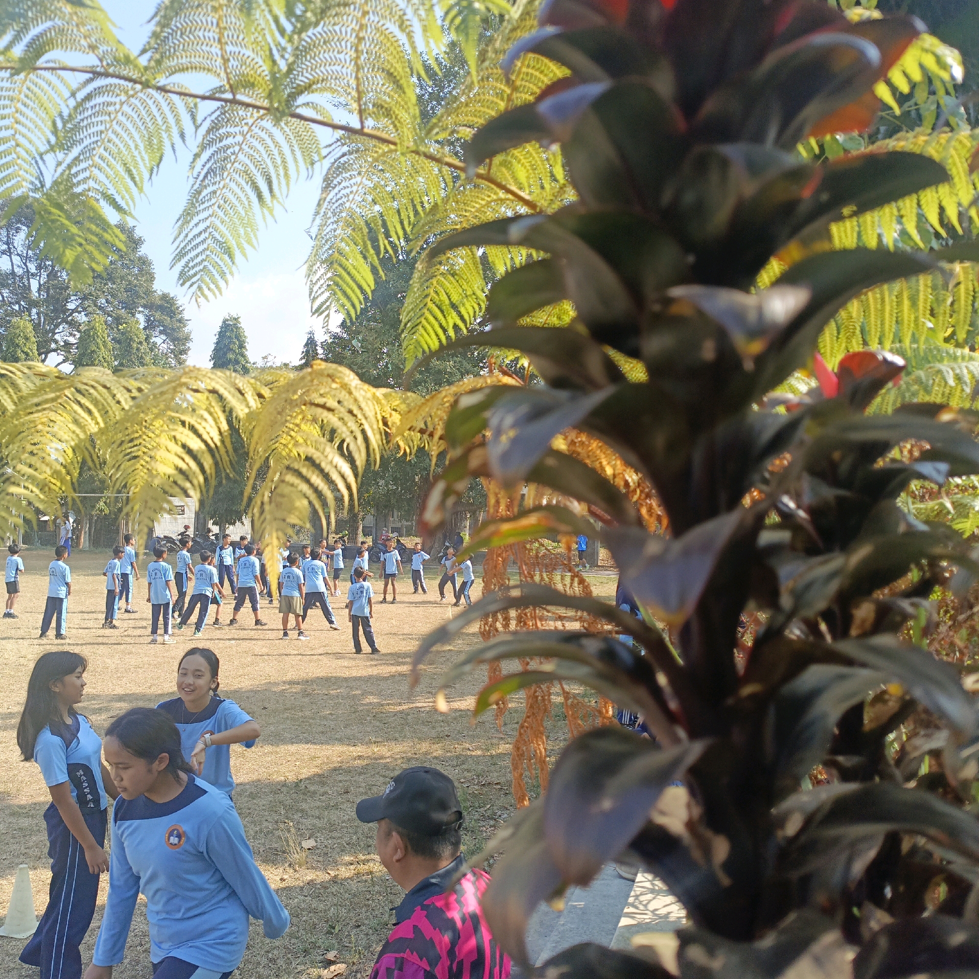 The image depicts a group of children in light blue uniforms on a grassy field, possibly a schoolyard, in Salatiga, Indonesia. The children appear to be engaged in some form of outdoor activity or lesson. In the foreground, a large dark-leafed plant and fern fronds partially obscure the view. The sky is clear and blue, suggesting a sunny day. The scene is likely an educational institution in Salatiga, given the uniform attire of the children and the school-like environment.
