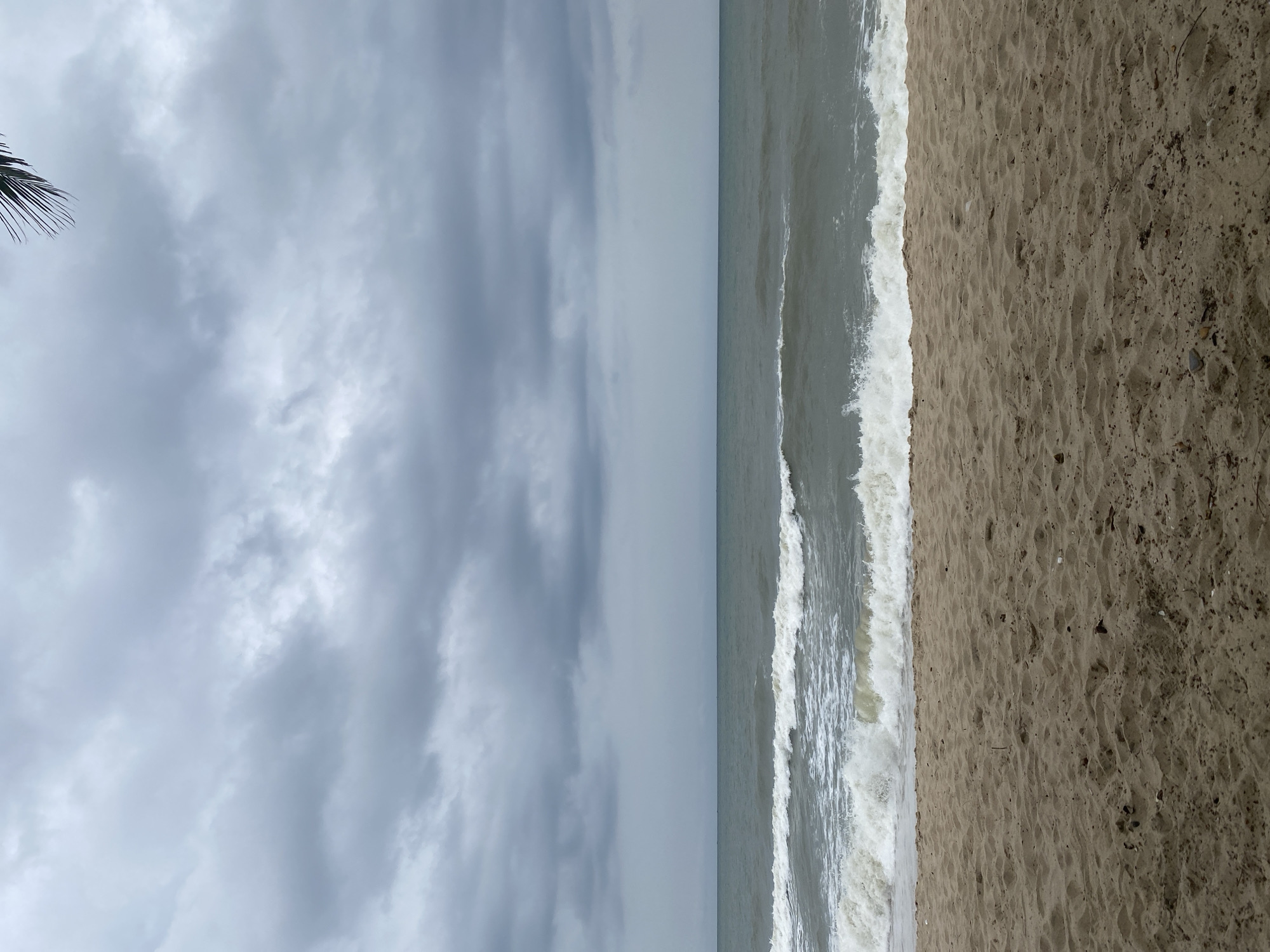The image depicts a beach scene in Mũi Né, Vietnam, characterized by a cloudy and overcast sky. In the foreground, the sandy beach stretches out, showing ripples and some scattered debris. The middle ground is dominated by the sea, with visible waves crashing on the shore, creating white foam. The water appears choppy and gray, reflecting the subdued lighting from the sky. The horizon line is a subtle division between the sea and the sky. In the upper right corner, a frond of a palm tree is visible, hinting at the tropical location. The overall atmosphere is somber and moody due to the heavy cloud cover.