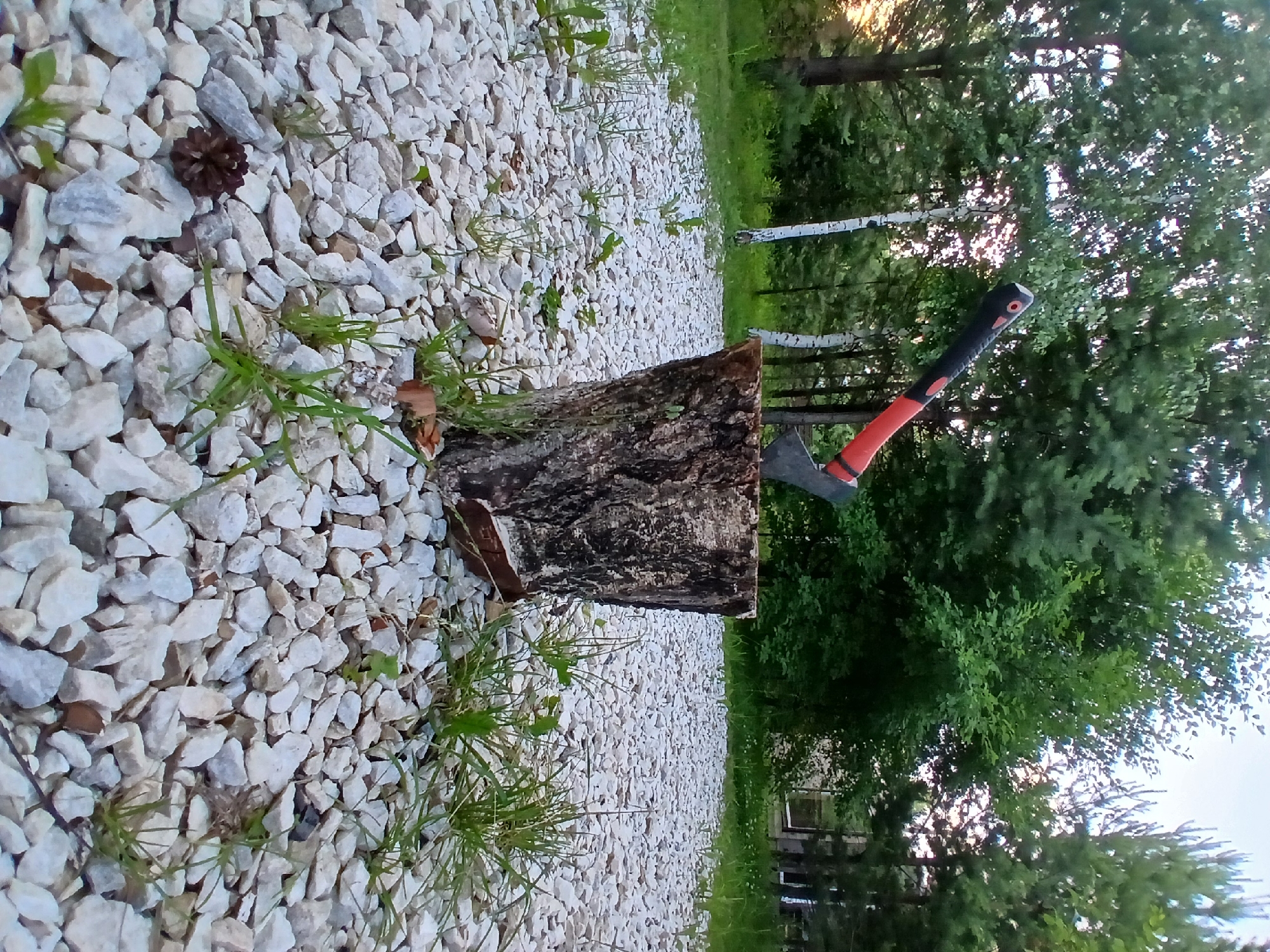 An axe is embedded in a tree stump in a clearing. The clearing is covered with white gravel and patches of grass. The background consists of a dense forest with various trees and foliage. The overall impression is that of a rustic outdoor setting, possibly in the city of Verkhneye Dubrovo, Russia. There are no people or animals visible in the image.