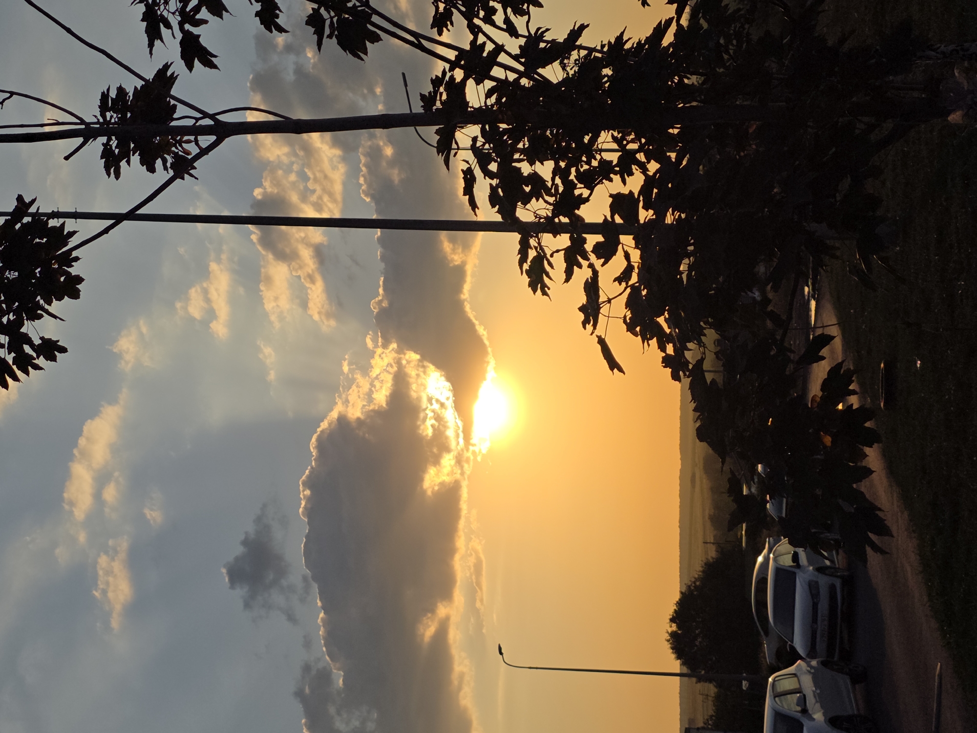 The image shows a sunset over a semi-urban landscape. The sun is low on the horizon, casting a warm, orange glow across the sky and illuminating scattered clouds. In the foreground, silhouetted trees and branches frame the scene. To the left, a streetlamp stands tall. Further back, several cars are parked on a paved surface. The background reveals a hazy landscape with distant trees and fields. The presence of cars and a streetlamp suggests a populated area, possibly on the outskirts of a city. The overall impression is one of a serene evening as the day comes to a close.