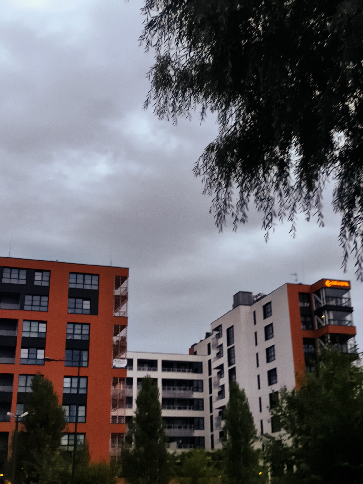 The image depicts a cloudy sky over a modern residential complex in Gdańsk, Poland. In the foreground, a silhouette of a tree with drooping branches partially obscures the view. The buildings are characterized by their contemporary architecture, featuring a prominent orange facade on the left building adorned with numerous dark-framed windows arranged in a grid pattern. To the right, another building displays a white facade with similar window arrangements, accented by orange sections and a visible sign with orange lettering. The setting appears to be dusk or a heavily overcast day, contributing to the muted color palette of the scene.