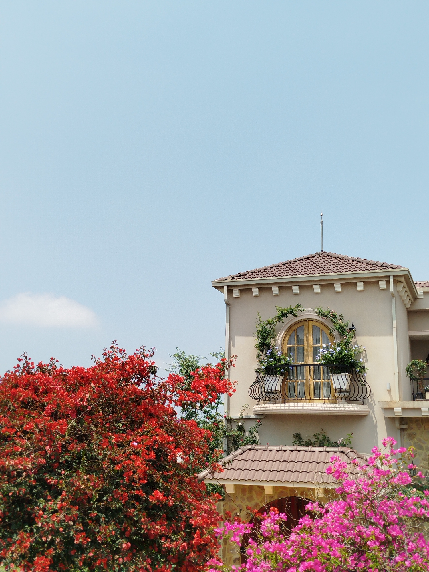 A daytime shot of a building with a balcony, likely located in Lang Biang - Đà Lạt, Vietnam, shows the architecture partially obscured by vegetation. The building is light beige with a brown tiled roof and features a round wooden door or window on a balcony with black wrought iron railing. Green vines and blue flowers decorate the balcony. Below, a section of roof with similar brown tiles is visible, possibly from a lower level of the structure. Lush trees with red and pink flowers are in the foreground, partially blocking the view of the building. The sky is a clear light blue with a small cloud.