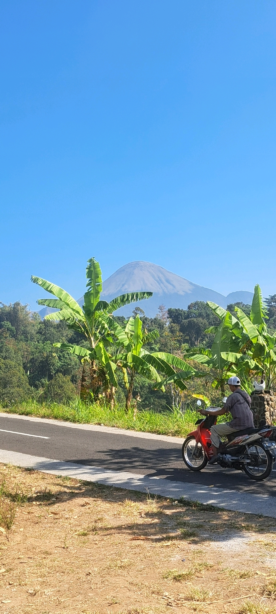 In Sekarjoho, Indonesia, a person rides a red motorcycle on a paved road, with the right side of the road bordered by dry, grassy ground and the left side by lush green vegetation. Towering banana trees with broad leaves are interspersed with denser foliage. In the background, a large, pale mountain dominates the horizon under a clear blue sky. The mountain's summit appears to be slightly shrouded in haze or mist. A white helmet rests on a stone structure by the roadside. The sunlight casts shadows from the trees onto the road and the ground.