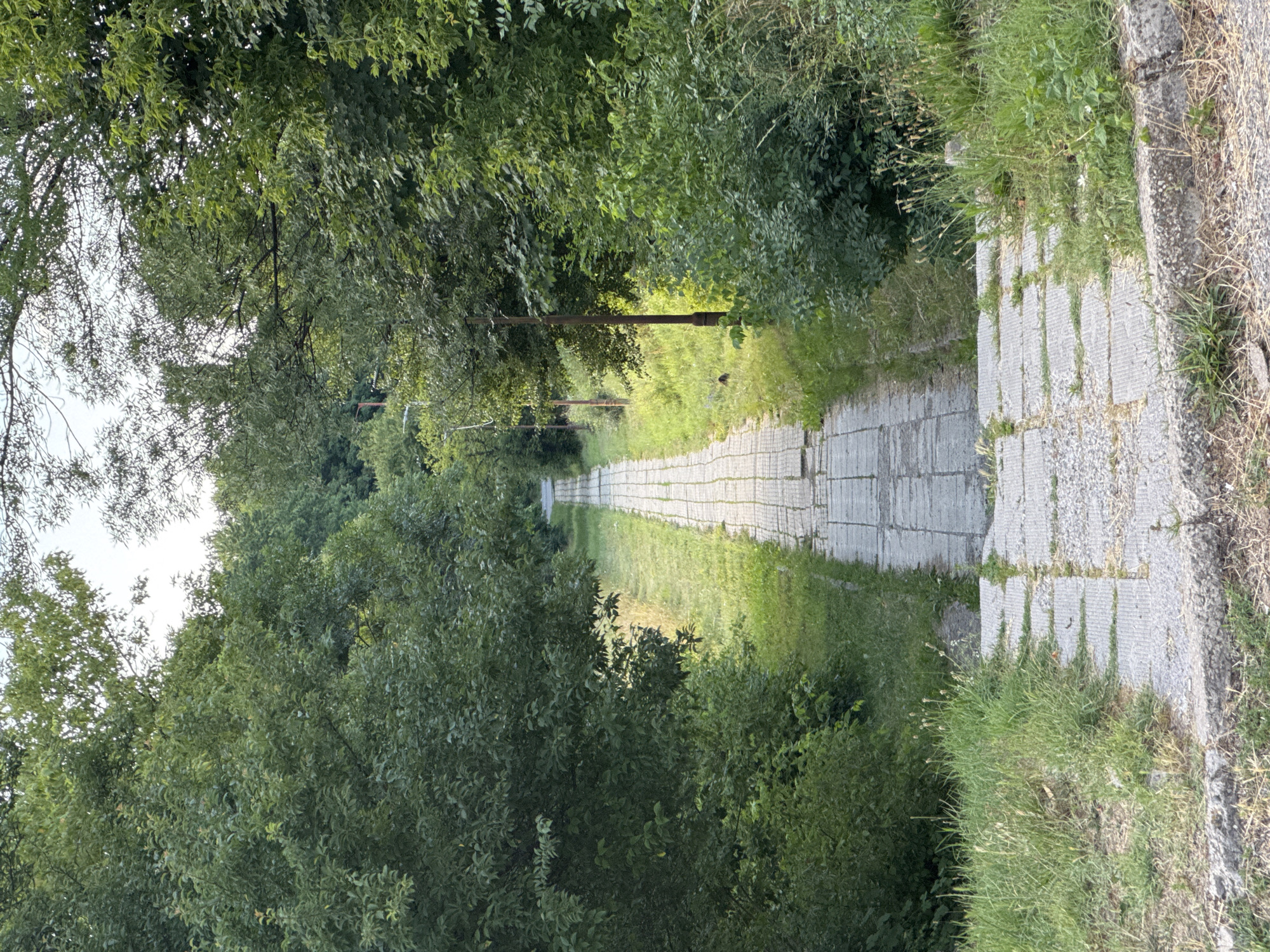 The image shows a paved pathway leading through a green, wooded area. The pathway is made of rectangular concrete slabs laid out in a straight line, receding into the distance. The sides of the pathway are lined with grass and lush green trees. There are a few old, rusty lamp posts visible along the right side of the path. The sky is visible through the trees at the top of the image and appears to be overcast or hazy. The foreground shows the beginning of the path with more grass and some stones. The overall impression is one of a somewhat neglected, natural setting within an urban or suburban environment. This scene is located at the park and memorial complex "Buzludzha" in the city of Pernik, Bulgaria.