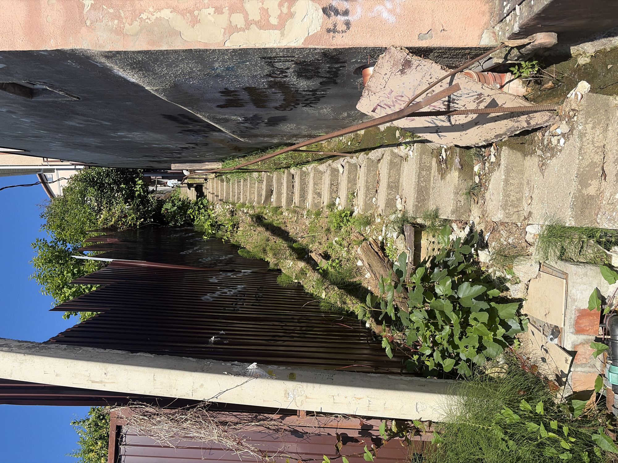 The image captures a steep, narrow, and somewhat dilapidated outdoor stairwell or alleyway, stretching uphill under bright daylight in what appears to be an urban or semi-urban setting, consistent with Sochi, Russia. The sky is clear and blue, and sharp shadows indicate a sunny day.
To the left of the stairwell, a tall, dark brown corrugated metal fence, adorned with some illegible white graffiti, runs upwards. Below it, at the bottom of the frame, is a dark brown corrugated metal gate, partially obscured by dry vines and green foliage. Above the fence, a thick, light-colored concrete beam or ledge is visible. Lush green vegetation, including dense bushes, tall feathery grasses, and broad-leafed plants (possibly fig), grows abundantly along the base of the fence and spills onto the steps.
To the right, a textured dark grey wall rises, showing signs of moisture and covered in illegible black graffiti tags. Above this, an older, pink-colored wall with extensive peeling paint and fainter graffiti is visible.
The pathway itself is composed of numerous irregular concrete steps, many of which are worn, cracked, and overgrown with grass and weeds. A thin, rusty metal handrail runs along the right side of the steps. Further up the incline, near the top, a large, broken concrete slab with exposed rebar lies partially embedded in the ground, also bearing faint graffiti. An orange pipe segment and other debris are scattered in this area. In the foreground on the right, a small, light-colored metal utility access door with a handle is set into the ground, adjacent to a small brick structure and a black pipe connected by a green fitting.
No people or activities are present in the scene, which conveys an atmosphere of neglect and abandonment.