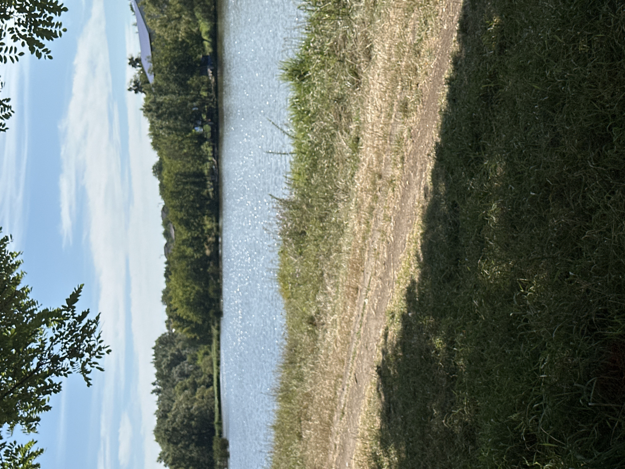The image shows a tranquil waterscape on a sunny day, likely located near Makiv, Ukraine. A calm, blue lake fills the majority of the frame, its surface sparkling with sunlight reflections. Dense green trees line the far bank of the lake, with hints of buildings and a dark blue roof visible among them on the right side of the image. In the foreground, a dirt path cuts across dry, golden grass, leading the eye towards the lake. Lush green grass, partially in shadow from an unseen tree, occupies the bottom portion of the image. The sky above is a clear blue with scattered white clouds.