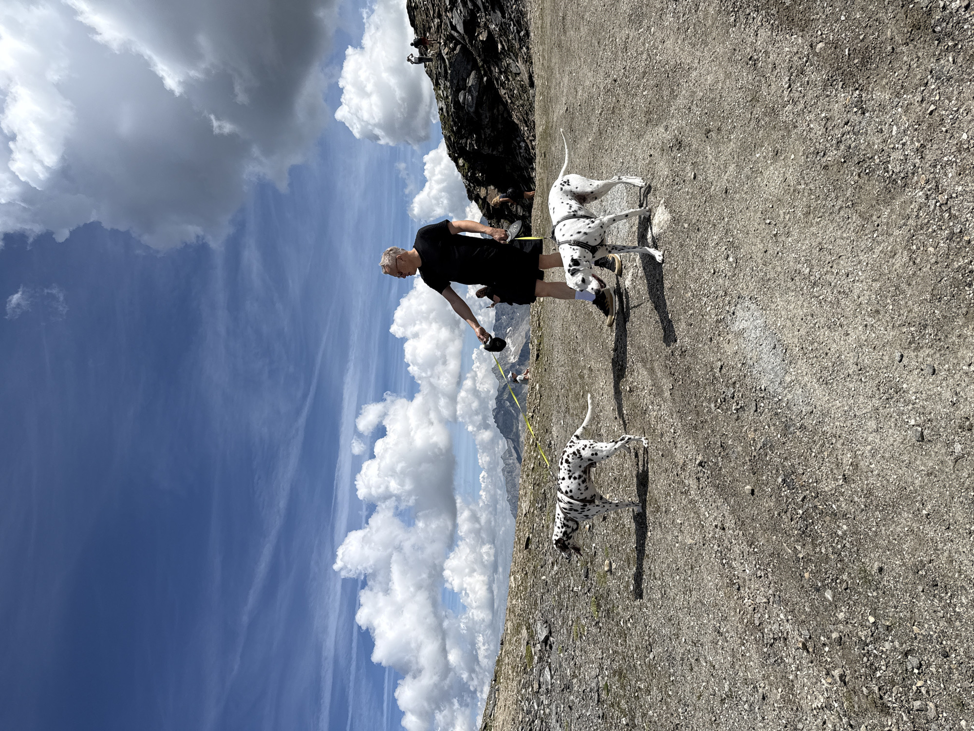 The image depicts a mountainous, rocky terrain under a partly cloudy blue sky. In the foreground, a man wearing a black t-shirt and black shorts is walking two Dalmatians on leashes. He is holding a dark-colored cap in his left hand. The Dalmatians are white with black spots. The ground is covered in gravel and rocks. In the middle ground and background, other people are visible on a rocky incline, some appearing to be taking pictures. Mountain ranges are visible in the distance. The scene does not provide any specific visual cues to confirm its location within Bad Gastein, Austria.