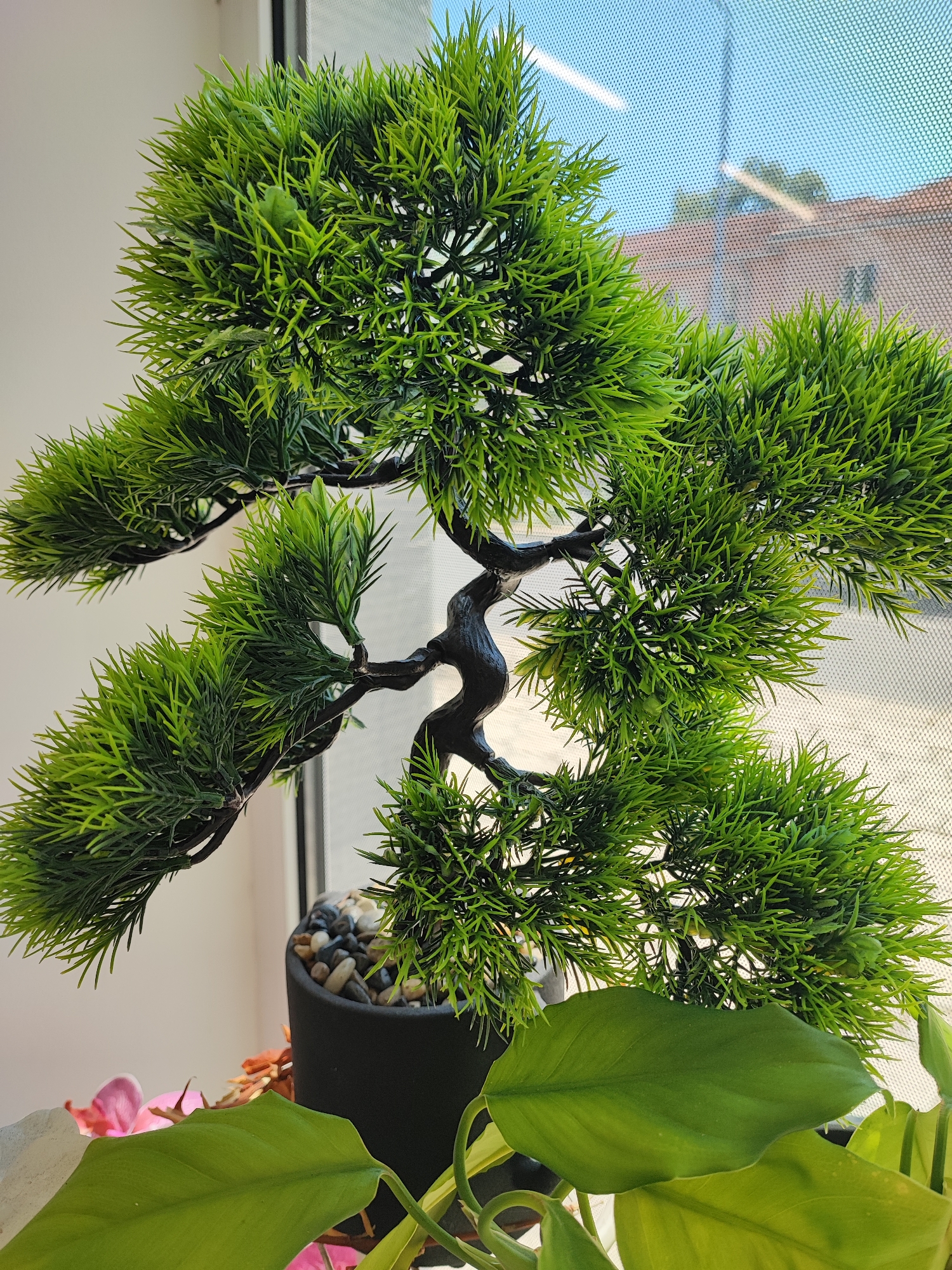 A close-up, eye-level shot captures an artificial bonsai tree with dark, twisted branches and dense green foliage. The tree is situated in a black pot filled with small, multi-colored pebbles. In the foreground, partially visible, are large, glossy green leaves, and a hint of pink petals from another plant. The background shows a window with a screen, through which buildings and a blue sky are visible. The scene is lit by natural light, suggesting it's daytime. There are no people or animals present. The location is an interior space, possibly a windowsill or desk, in Plovdiv, Bulgaria, as indicated by the context.