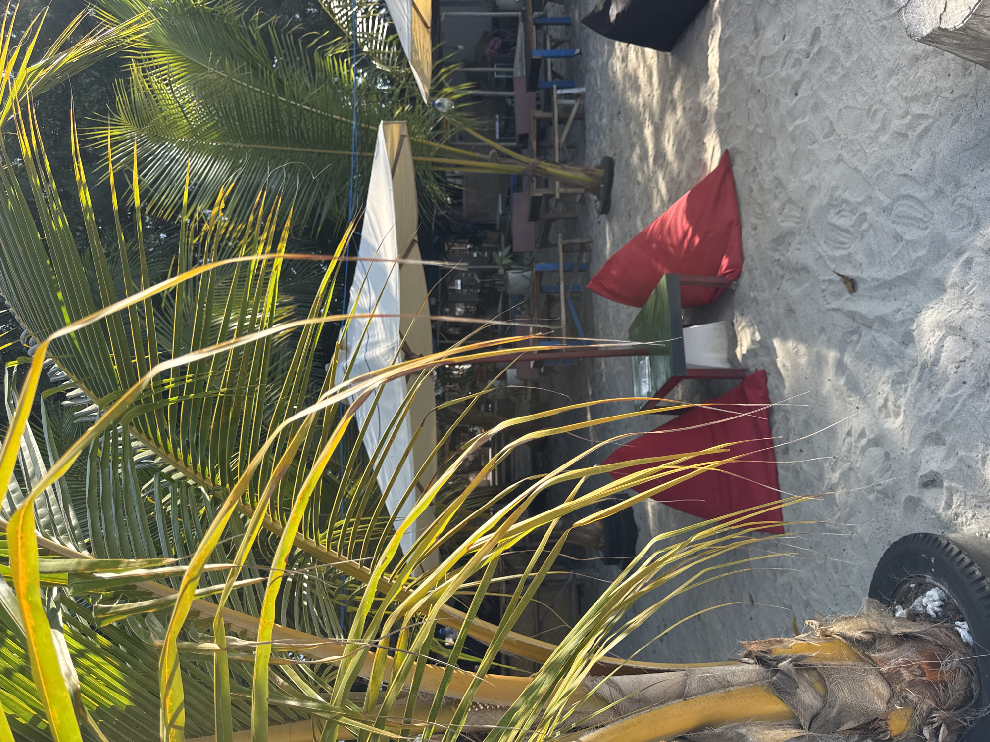 The image depicts a beachside scene with a focus on tropical foliage in the foreground. In the background, a small open-air establishment with tables and chairs is visible, suggesting a casual dining or relaxation spot. Two bright red beanbag chairs are placed on the sand, one with a green object partially visible underneath. The ground is sandy with visible footprints. The lighting suggests it is daytime, possibly late afternoon due to the long shadows cast. The presence of palm fronds strongly indicates a tropical location. No people are clearly visible in the frame. The overall mood is relaxed and summery.