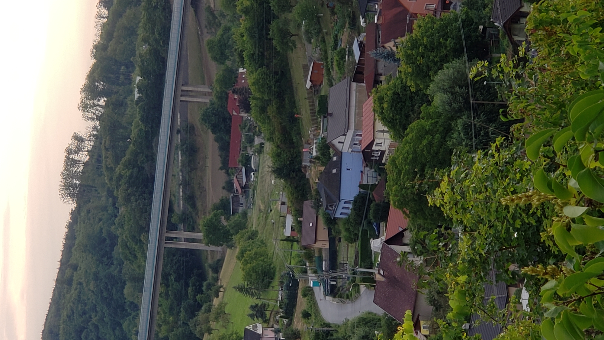 The image captures a panoramic view of a suburban area on the outskirts of Prešov, Slovakia, with a prominent highway bridge spanning across a wooded valley. The scene is characterized by a dense forest covering the rolling hills, with a scattering of residential houses nestled amongst the trees. In the foreground, lush green foliage and blooming plants obscure the lower portion of the image, suggesting a natural, semi-rural setting. A winding asphalt road leads into the village, lined with power poles and overhead wires. The houses vary in architectural style and color, with tiled roofs dominating the landscape. The sky above is a muted gradient of pink and gray, indicating either dawn or dusk. The overall impression is one of a tranquil, verdant community integrated with its natural surroundings.