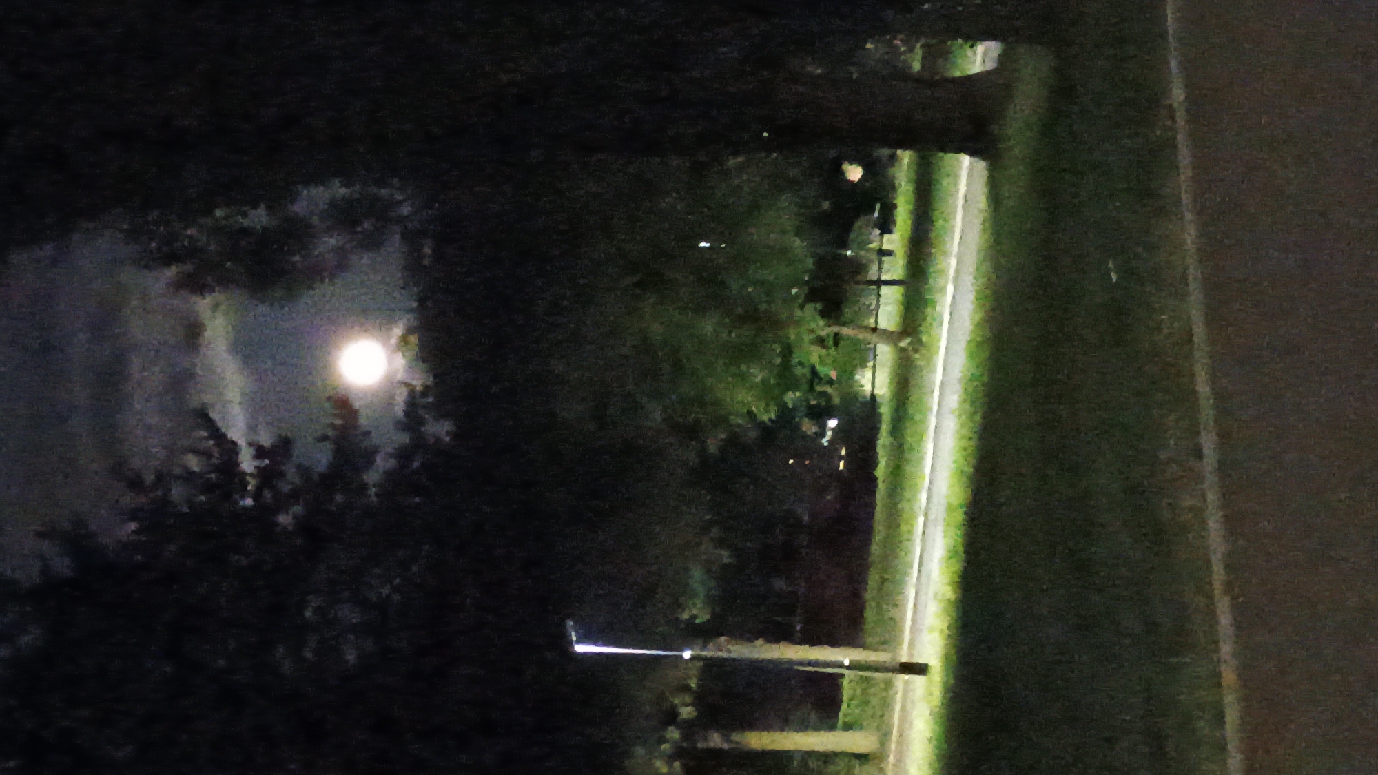 A nighttime scene shows the moon visible through scattered clouds, illuminating a park area. A streetlamp stands on the left side of the frame, casting light on a paved path that runs horizontally through the image. Grassy areas are visible on either side of the path, with trees lining the background. The location is identified as Sokolov, Czechia.