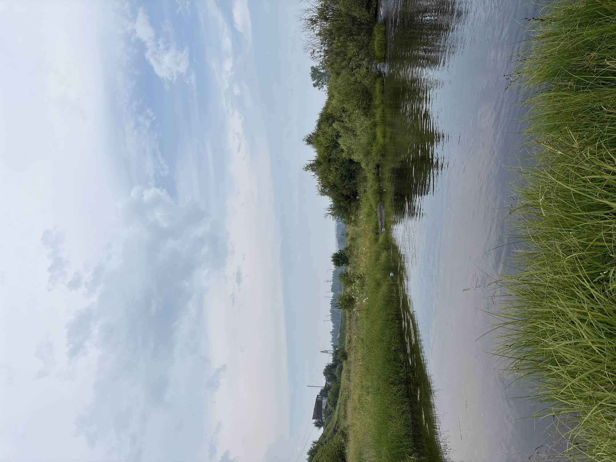 This is a landscape photograph taken in Nevon, Russia. The image depicts a calm body of water in the foreground, with lush green grass growing along its banks. Beyond the water, a grassy hill is visible, dotted with trees and a building that appears to be a house with a red roof. In the distance, more trees and utility poles can be seen against a cloudy sky. The overall impression is one of a serene, natural setting with a touch of human habitation.