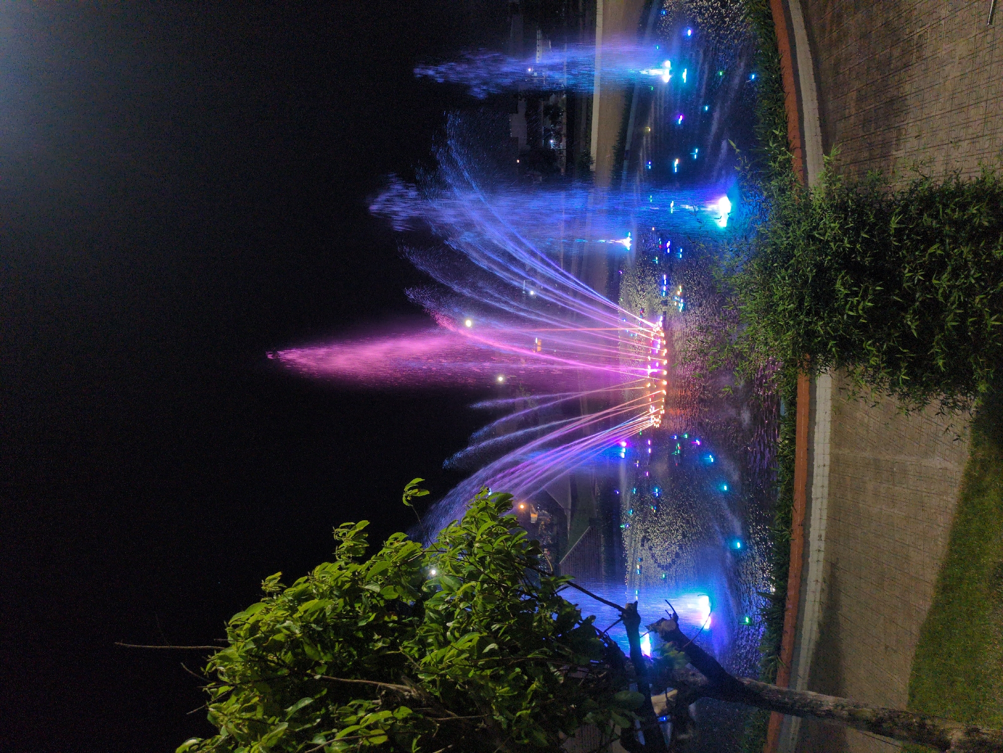 Captured at night, the image depicts a colorful fountain display located in the city of Tuy Hòa, Vietnam. The fountain emits streams of water illuminated in shades of pink, purple, and blue. The fountain is enclosed by greenery. A tree with visible leaves is positioned in the foreground. A paved walkway borders the fountain on one side. The background is obscured by the darkness of the night. Buildings are visible in the far background.