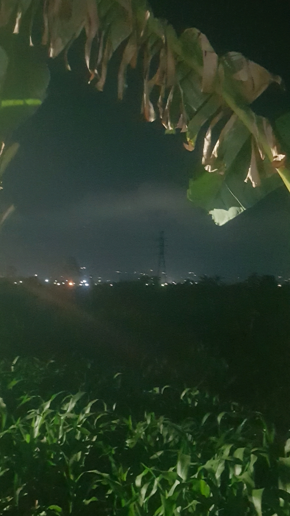 A dimly lit outdoor scene captures a field of green plants, possibly corn, in the foreground. Above the field, a blurred silhouette of what appears to be tree foliage hangs from the top of the frame. In the background, a hazy skyline is visible with scattered lights, suggesting a distant urban area. A tall, dark pylon stands prominently against the dusky sky. The image is dark and appears to have been taken at night, with the lighting suggesting a low-light environment. The location is identified as Bakalan, Indonesia. There are no people or discernible actions in the image.