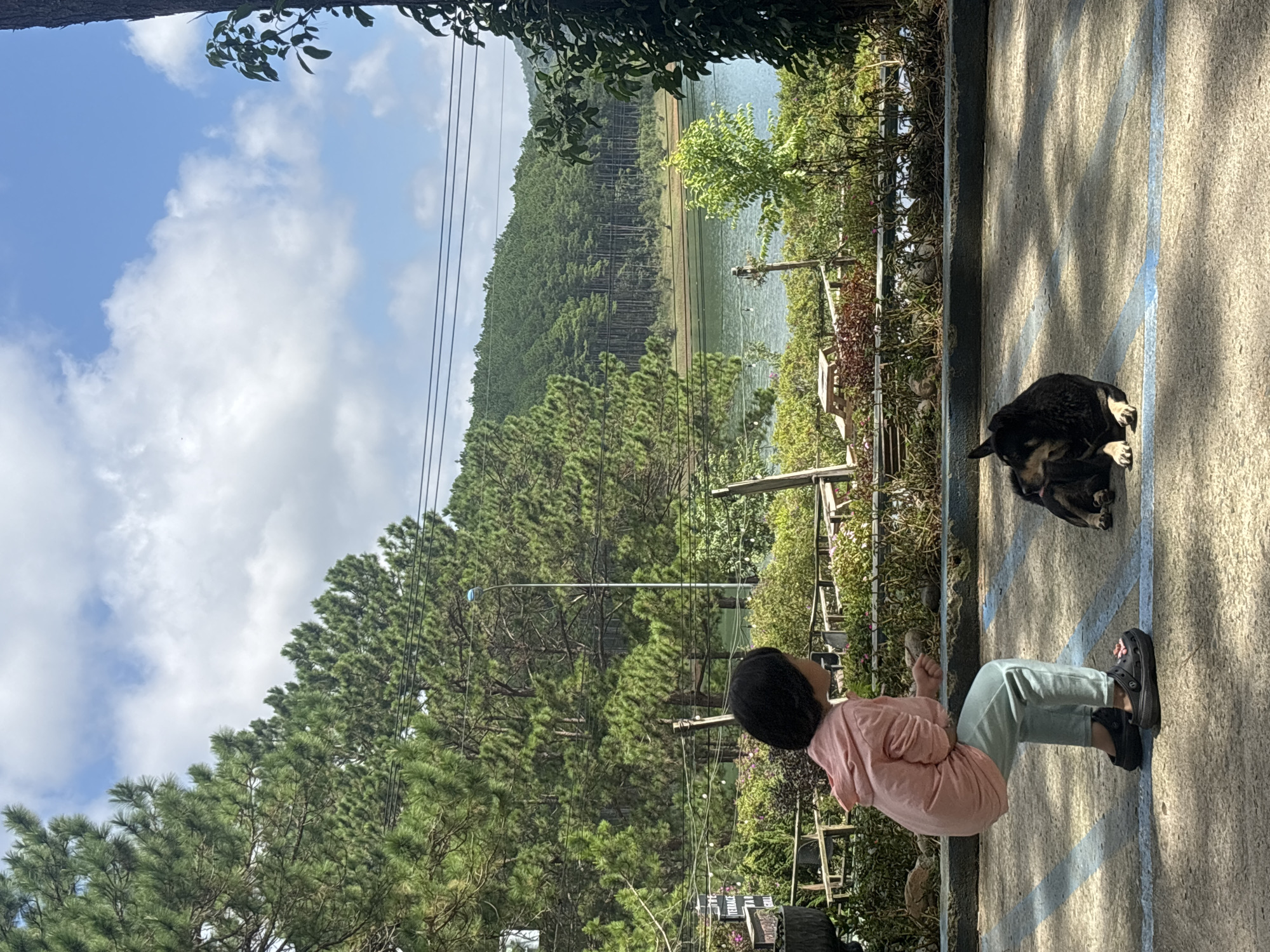 A young child in a light pink hoodie and light blue pants is crouching on a paved surface with blue markings. The child appears to be interacting with a black and tan dog that is lying down on the ground nearby. The background features a picturesque landscape with a body of water, surrounded by dense pine forests and rolling hills. The sky is blue with scattered white clouds. In the foreground, there are some bushes and small trees. The scene suggests an outdoor setting, possibly a park or a scenic viewpoint in the city of Da Lat, Vietnam, known for its pine forests and lakes.