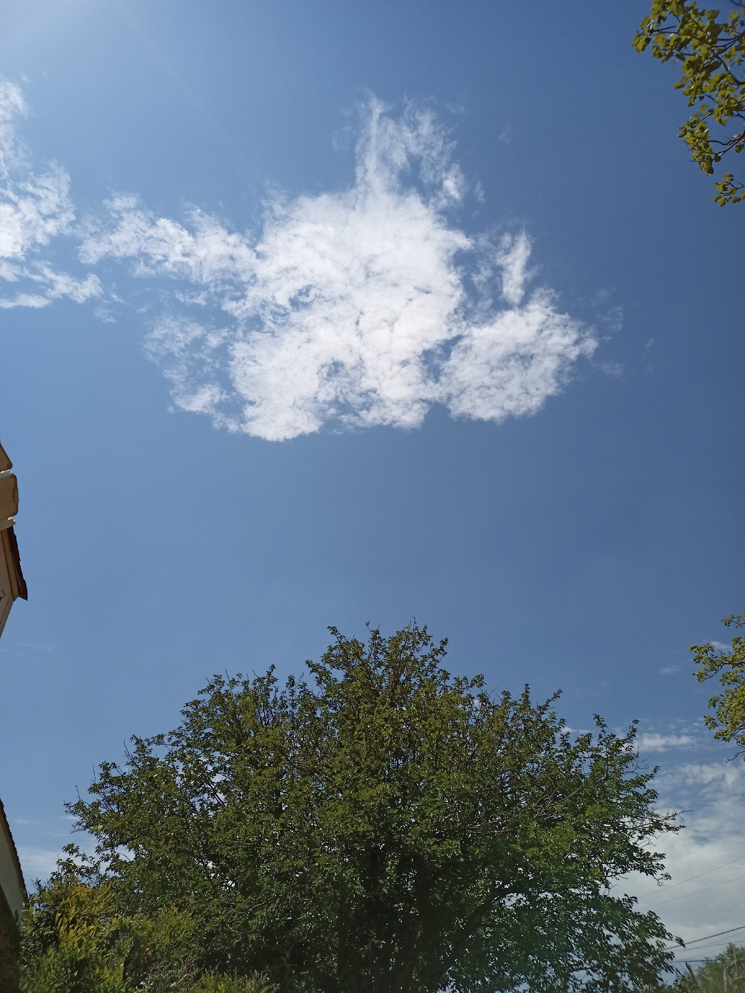 The image depicts a bright, clear blue sky with a few scattered white clouds. In the foreground, a large, leafy green tree dominates the lower half of the frame, its branches extending upwards. To the left, a portion of a building's exterior, appearing to be a house with a light-colored wall and a brown roofline, is visible. In the upper right corner, the branches of another tree with green leaves are silhouetted against the sky. The scene suggests an outdoor environment, possibly a residential area. The provided information states the location is Amarillo, United States of America.