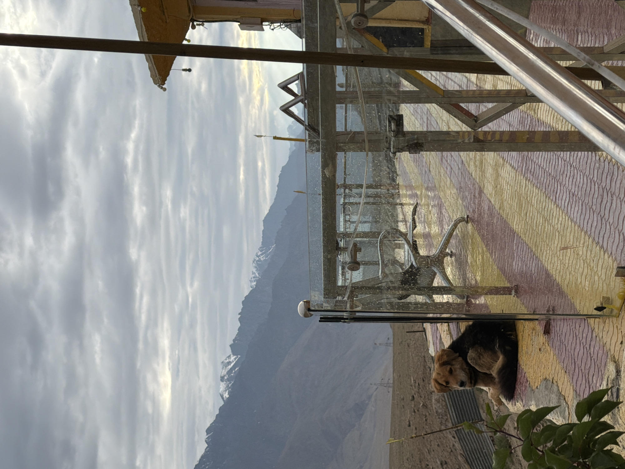 This is a medium shot, eye-level photograph taken outdoors in Chumkar, India. The image features a shaggy, medium-sized dog with brown and black fur lying down on a patterned walkway made of red and yellow tiles. The dog is positioned on the left side of the frame, looking towards the left. Behind the dog, the ground is a dry, dusty terrain. In the mid-ground, there is a glass railing with metal posts. On the walkway, there is a silver chair with a metallic base. Beyond the railing, a vast mountain range with snow-capped peaks is visible under a cloudy sky. To the right of the frame, a portion of a yellow building with a slanted roof and a wooden support post is visible. The overall lighting suggests it is either early morning or late evening, with diffused light coming through the clouds.