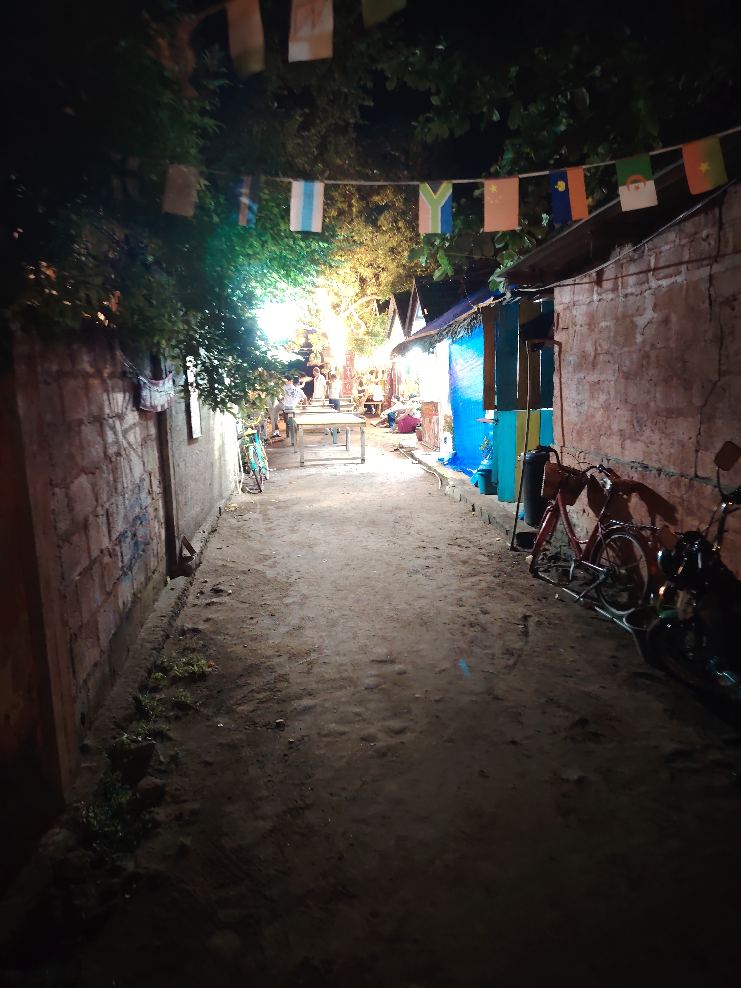 The image depicts a narrow, unpaved alleyway at night, illuminated by artificial lights and strings of flags overhead. The alley is flanked by rough, textured walls made of brick or stone. On the left side, a brick wall shows signs of graffiti. On the right side, a similar wall is visible, with some of the flags strung across the alley hanging from it.
In the foreground, the ground is dirt and appears uneven, with some small patches of greenery and debris. Several objects are present in the alley. On the right side, a red bicycle with a basket is leaning against the wall, partially obscured by a trash can. Further back, a motorcycle is parked.
Further down the alley, on the right, a row of small structures, possibly market stalls or shops, are visible. These structures have colorful coverings, including blue and yellow tarps.
In the background, more people are visible, standing around tables that are set up in what appears to be an outdoor seating area. A bright light source is illuminating this area from behind some trees and foliage.
The flags strung across the alley are varied, with some featuring national flag designs like those of South Africa, China, and Algeria. The overall scene suggests a lively outdoor gathering or market atmosphere in a densely populated urban area.