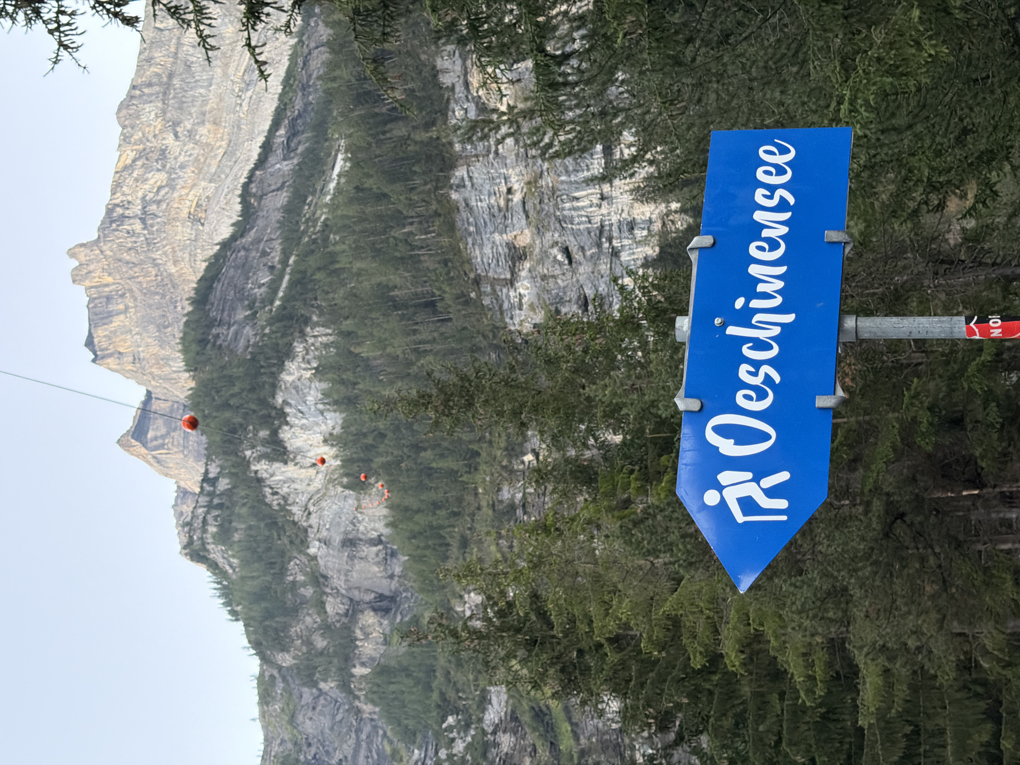 A directional sign pointing left, with white text on a blue background, reads "Oeschinensee". The sign features a white pictogram of two people walking. In the background, a steep, rocky mountain face is visible, dotted with evergreen trees. A cable car line with orange balls ascends the mountain. The foreground consists of more evergreen trees and the metal pole holding the sign. The scene is set in Kandersteg, Switzerland, near Oeschinensee lake.