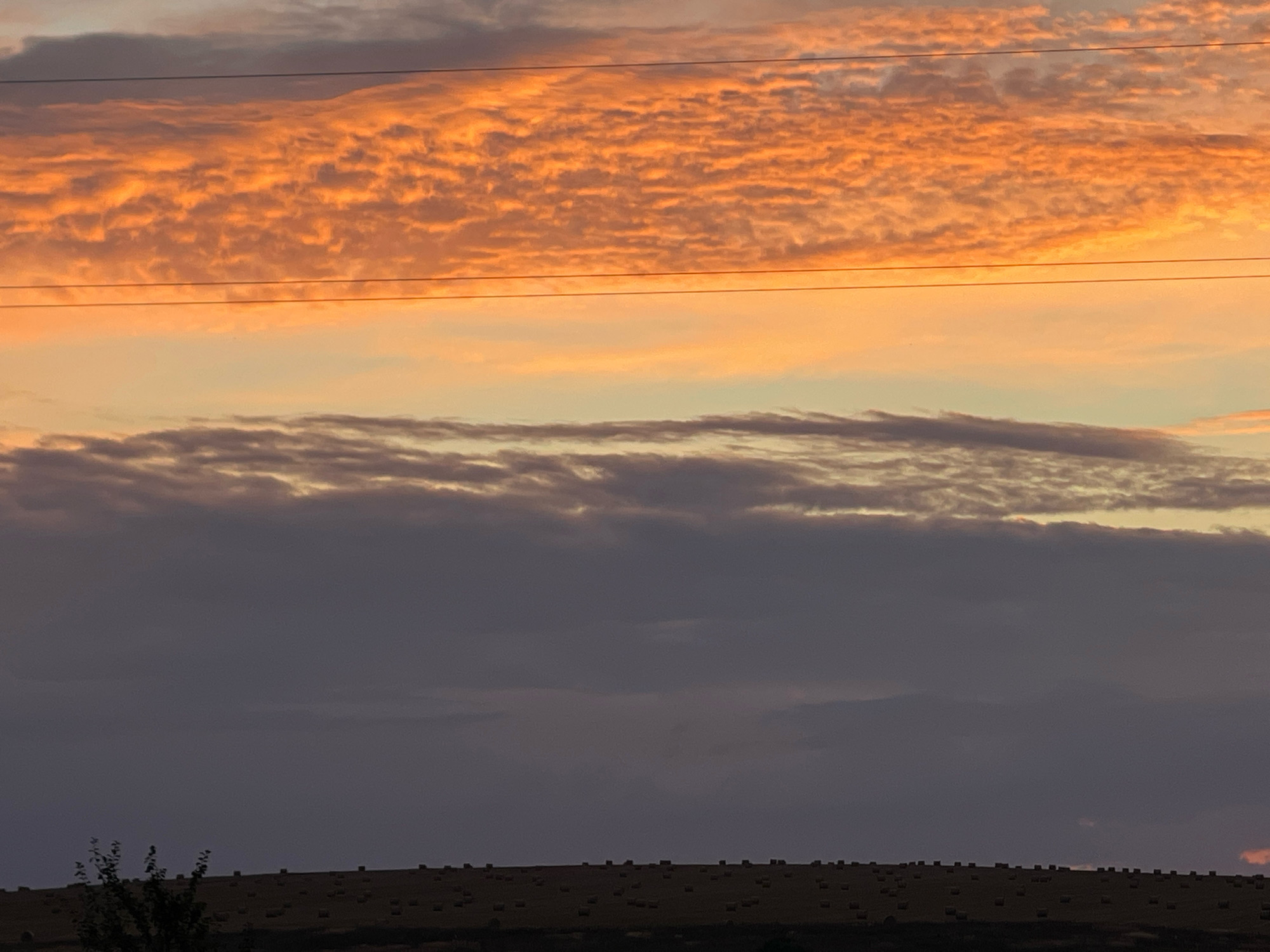 This is a photograph of a sunset sky over a rural landscape. The sky is filled with a variety of clouds, with the upper portion illuminated by the setting sun in shades of orange and yellow. Below this, darker, more diffuse clouds are visible, transitioning to a deep purple at the horizon. Two thin, dark horizontal lines, likely power or telephone wires, stretch across the sky. In the foreground, a rolling hill is covered with numerous square hay bales. A small, dark tree is visible on the left side of the hill. The photograph was taken in the city of Perevoznoe, Russia.