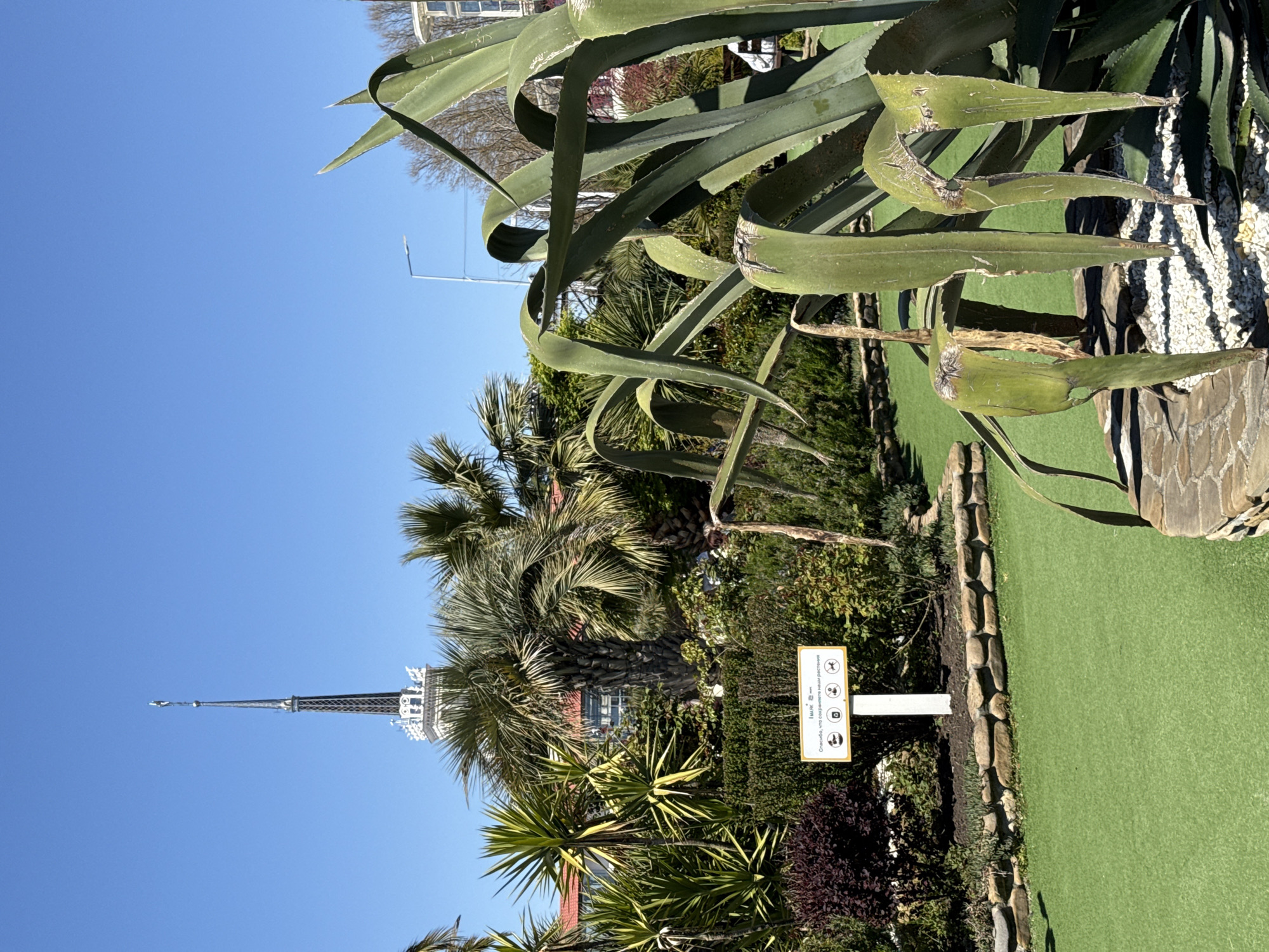 The image, rotated 90 degrees clockwise, captures an outdoor scene featuring lush vegetation and a clear blue sky, suggestive of a botanical garden or a recreational park with a mini-golf course.
In the foreground and extending to the upper right, several large, spiky agave or aloe vera-like plants dominate, with thick, green, serrated leaves. To the right, a patch of artificial green turf, characteristic of a mini-golf course, is visible, bordered by a low, decorative stone wall.
The midground showcases a diverse and dense array of tropical and sub-tropical foliage, including several palm trees with their characteristic fronds, and other dense green shrubs. Amidst this greenery, a white sign on a post is clearly visible.
Against a bright, cloudless blue sky in the background, a tall, slender spire structure, resembling a miniature Eiffel Tower or a stylized church steeple, rises prominently. Some distant buildings can be faintly seen through the gaps in the trees.
The bright daylight and clear sky indicate sunny weather. No people are visible, but the setting implies a leisurely activity like mini-golf or a walk through a garden.
The white sign features text in Cyrillic script: "Спасибо, что сохраняете наши растения," which translates to "Thank you for preserving our plants." Below this, it states "iMACK 🎧 📸 🐦", accompanied by three icons: headphones, a camera, and a bird (possibly a drone), suggesting rules or recommendations regarding noise, photography, and aerial devices.