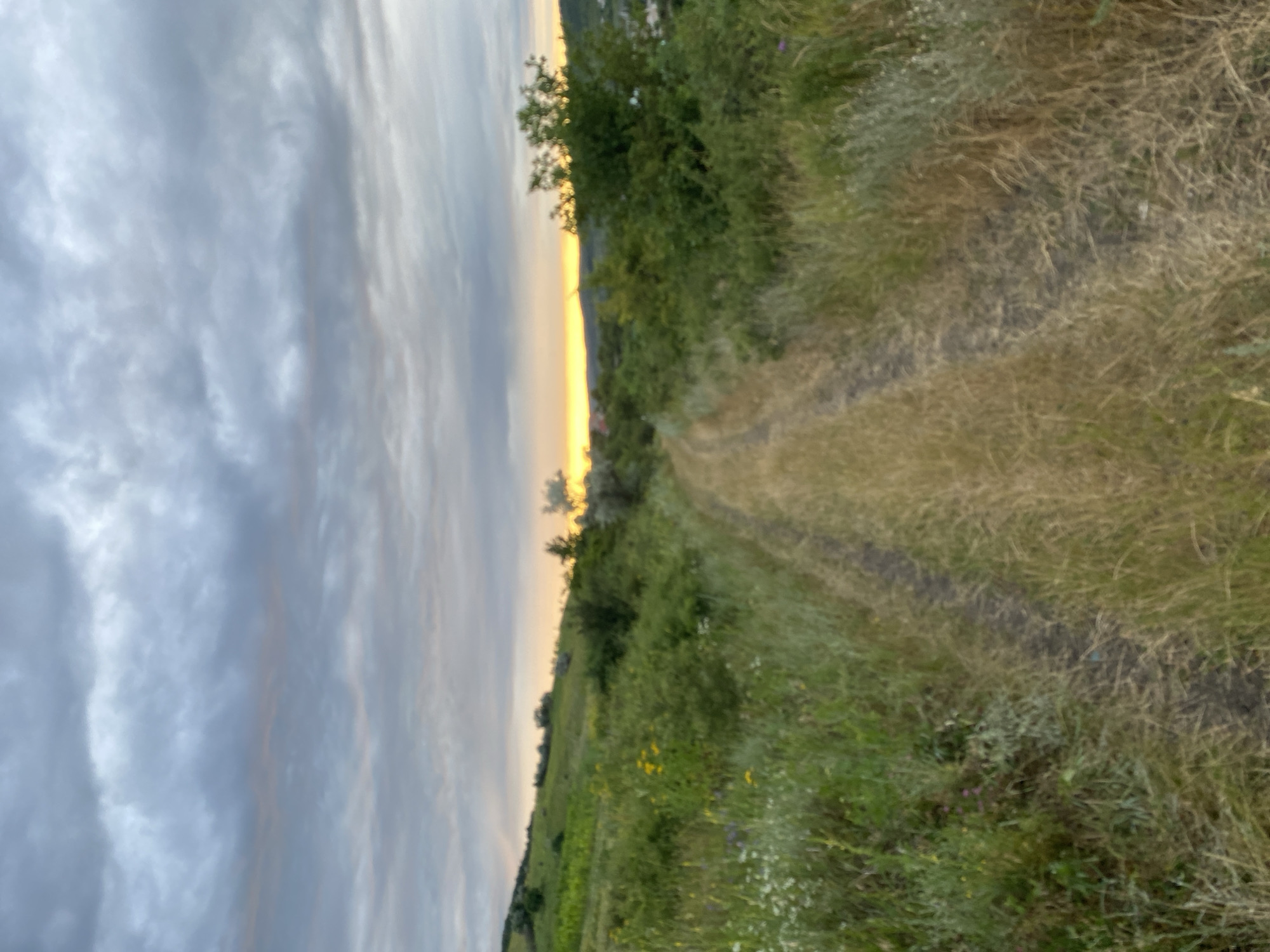 The image depicts a rural landscape at dusk, likely in or around Horodca, Moldova. A dirt path, worn from use, stretches into the distance, flanked by tall, dry grass and wild vegetation. The path is uneven, showing tire tracks and indicating it serves as a road or trail. Rolling hills covered in green foliage rise on either side of the path, with some areas appearing to be cultivated fields. In the distance, a line of trees and structures can be seen, hinting at a settlement. The sky above is filled with dramatic, overcast clouds, with a sliver of warm orange and yellow light peeking through the horizon, suggesting the sun is setting or has just set. The overall atmosphere is serene and natural, capturing a moment of quietude in the countryside. There are no people or animals visible in the scene.