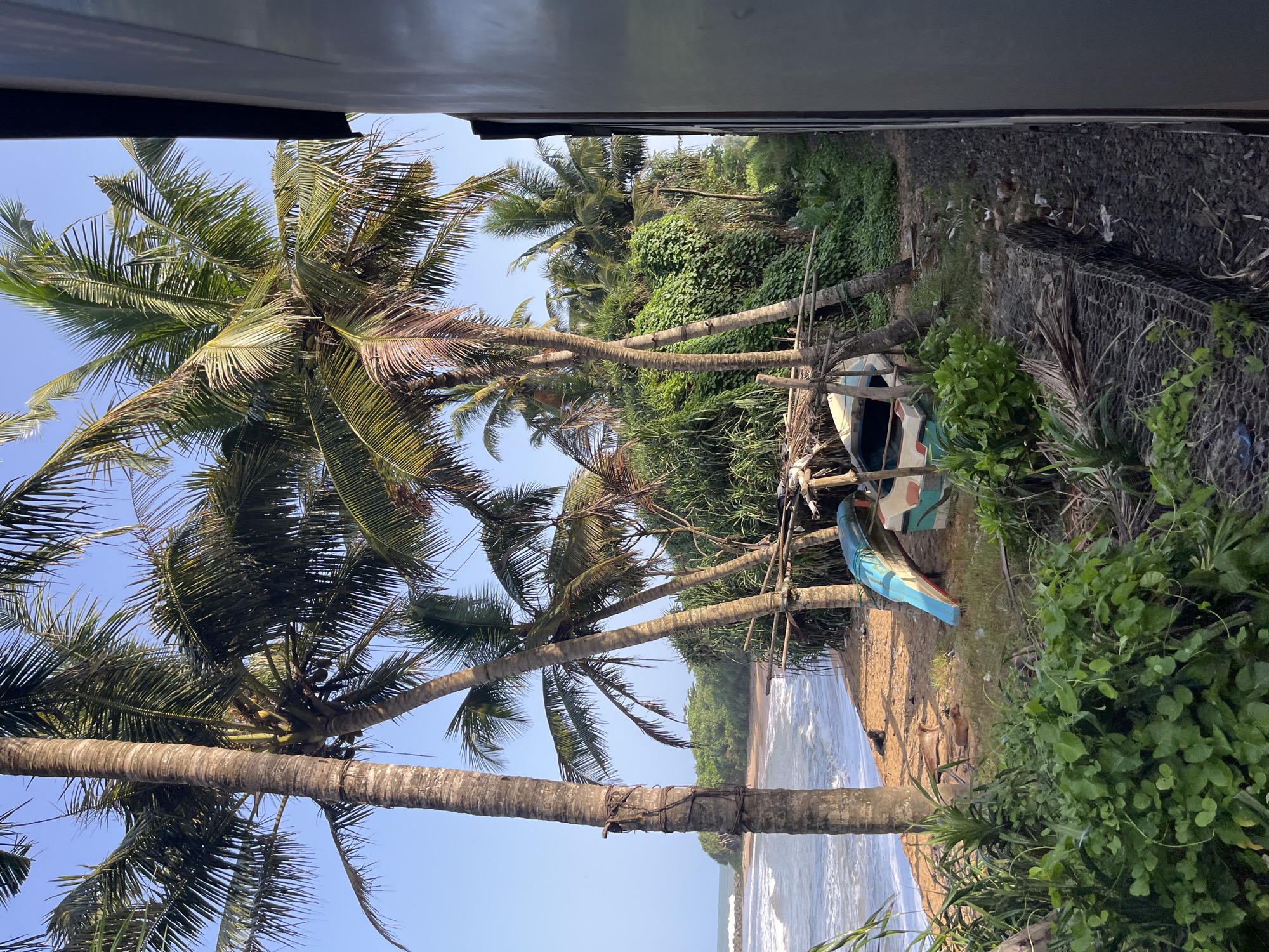 This image depicts a coastal scene in Katukurunda, Sri Lanka, viewed from the side of a moving train. In the foreground, lush green vegetation and palm trees dominate the landscape. A small, overturned boat, painted in blue, white, and green, rests on the sandy shore near a cluster of palm trees and debris. Beyond the shore, the ocean waves gently crash onto the beach under a clear blue sky. In the mid-ground, a sandy beach stretches towards a headland covered in dense green foliage. The right side of the image shows the side of a train carriage, suggesting the perspective of a passenger observing the passing scenery. The overall atmosphere is serene and tropical.