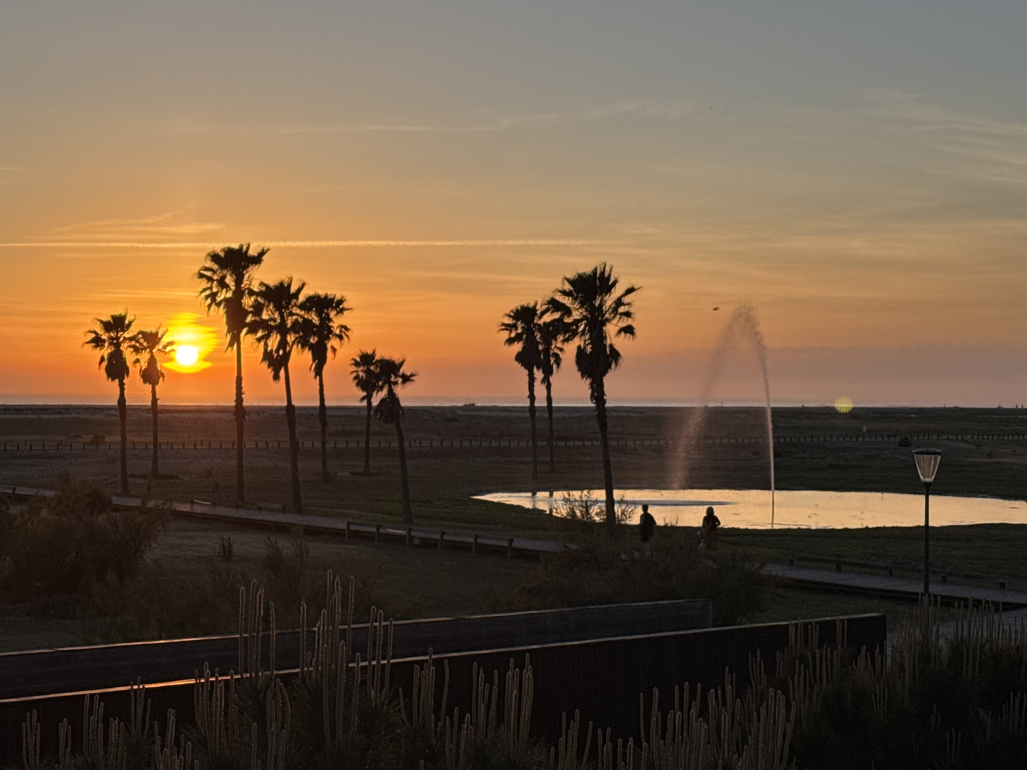 The image captures a sunset scene in Figueira da Foz, Portugal. Silhouetted palm trees line the beach, contrasting with the bright orange and yellow sky. A fountain sprays water into the air near a pond or lake. Two figures stand near the water, and a lamppost is visible on the right. In the foreground, dark foliage and a low wall add depth to the scene.
