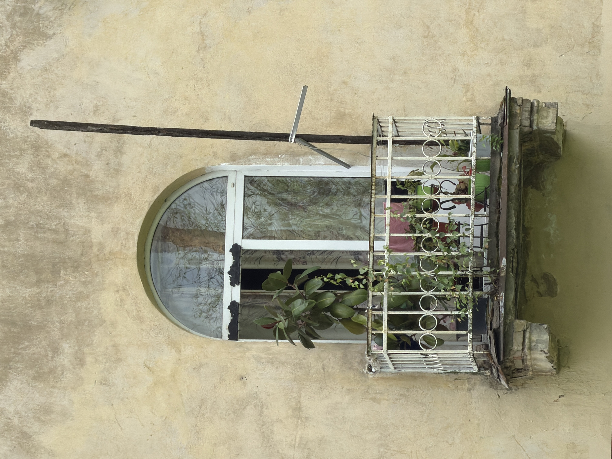 The image shows a close-up of a weathered, pale yellow stucco wall with an arched window and a small balcony. The window has white frames and a glass pane reflecting trees and sky. The balcony has a white wrought-iron railing with circular decorative elements. Several potted plants are visible on the balcony, including a large leafy plant and smaller green plants. The balcony floor appears to be made of wood and is in a state of disrepair, with visible damage to the supporting structure. A tall, dark wooden pole leans against the wall to the right of the window, with a small metal bracket attached to it. The overall impression is of an aged building in an urban setting, possibly in the city of Bykovo, Russia, given the context provided.