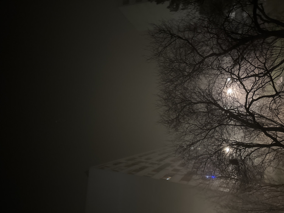 A dense fog obscures most of the scene. Bare branches of large trees fill the right side, their intricate silhouettes defined against the diffused glow of streetlights above. In the lower left, a building emerges slightly from the fog. Its facade is dimly lit, revealing rows of dark windows. The atmosphere is dark, mysterious, and suggestive of an urban night.