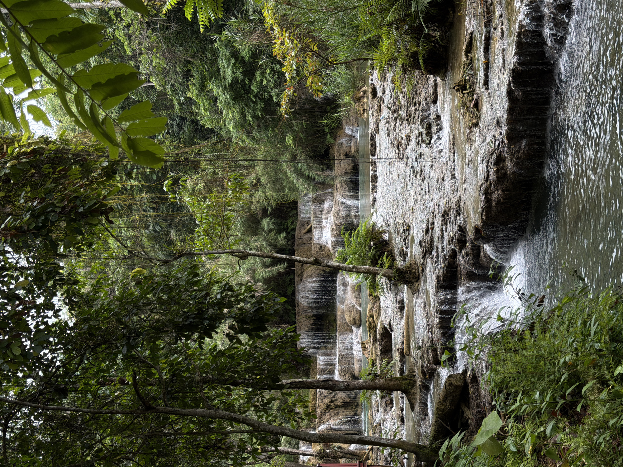 The image depicts the Kuang Si Falls in Thapene, Laos. It is a multi-tiered waterfall with clear turquoise water cascading over limestone formations. The falls are surrounded by lush green tropical forest, with tall trees and dense vegetation. The water flows into several pools, which appear to be shallow and inviting. The overall scene is serene and natural, with no people visible in the image. The lighting suggests it is daytime, with the sun filtering through the dense canopy of trees. The water has a milky, almost opaque appearance due to the mineral content of the limestone.