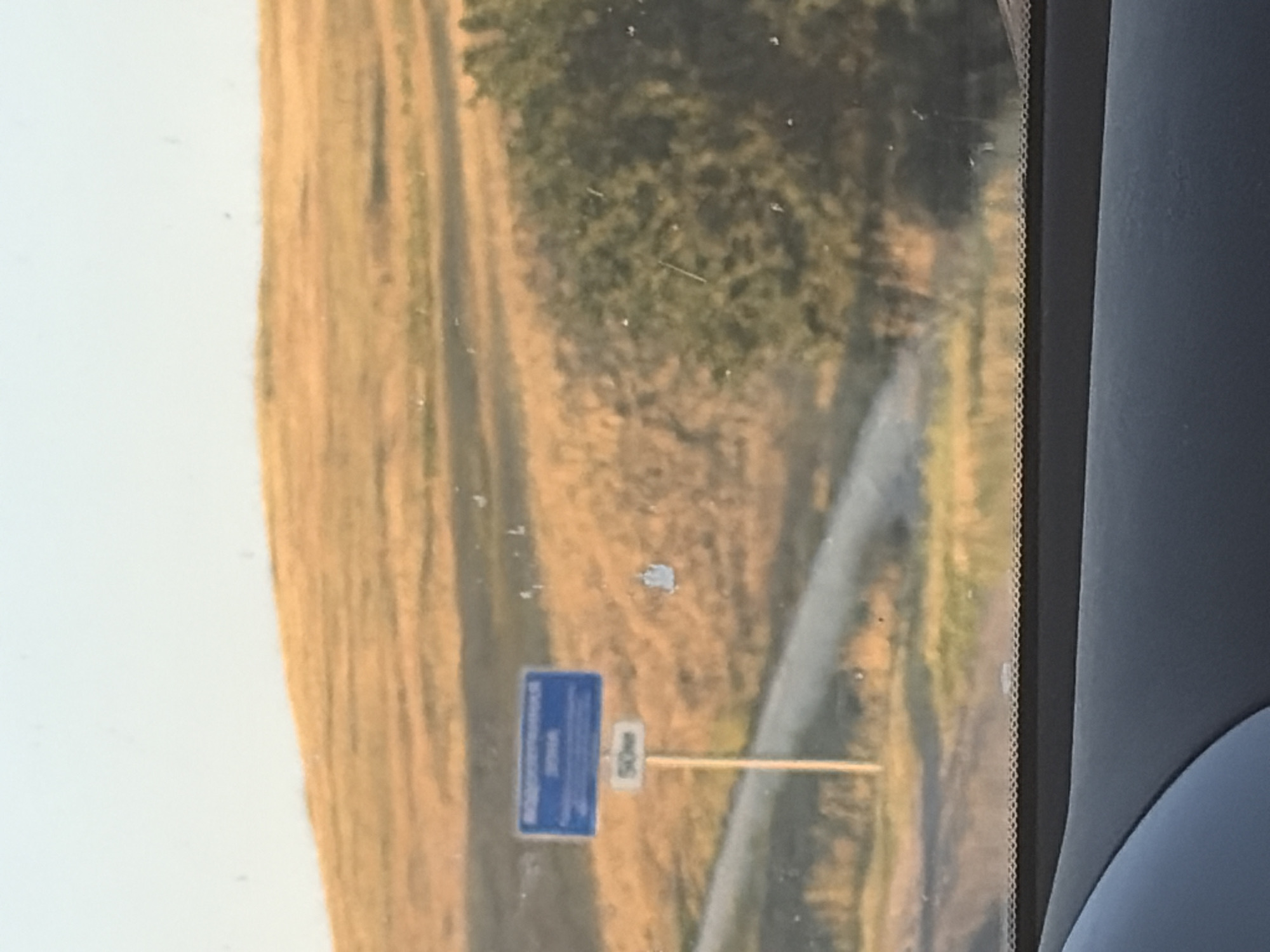 The image captures a scene from within a vehicle, looking through the windshield. The foreground shows the dark dashboard of the car. In the mid-ground, a dirt road curves from left to right, bordered by dry, golden grass and a sparse cluster of green trees on the right. A blue rectangular sign with white lettering is mounted on a thin pole along the left side of the road. Below this sign, a smaller white square sign with "50m" written in black is visible. The background consists of a gently sloping hill covered in the same dry, golden grass, under a clear, pale blue sky. The overall lighting suggests it is either early morning or late afternoon, with the sun casting a warm glow on the landscape. The location is identified as Belogorki, Russia.