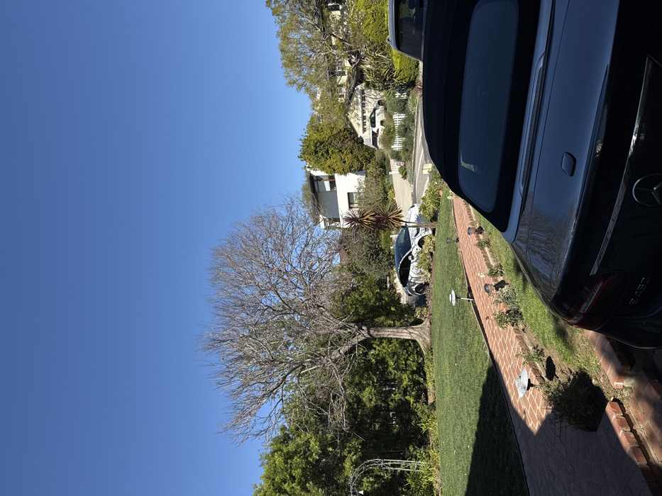 The image depicts an outdoor residential scene under a clear, bright blue sky, characteristic of Los Angeles, United States of America. In the immediate foreground, the rear section of a dark-colored Mercedes-Benz E 450 Cabriolet, with its black soft top raised, is visible on the right, partially shaded. To the left of the vehicle, a brick pathway extends towards the center-left, bordered by a strip of green lawn and small garden plants, punctuated by several low-profile solar pathway lights.
In the midground, a large, bare deciduous tree with a wide trunk and intricate branch structure stands prominently on the left side of the manicured lawn. Dense green foliage and shrubbery flank the tree, with a white metal garden arbor partially visible within the greenery on the far left. Across what appears to be a residential street, a white Tesla Model Y, partially adorned with a dark graphic wrap or decal, is parked. Behind the Tesla, a multi-story contemporary house with white exterior walls and dark window frames is situated on an elevated lot, accessed by a paved driveway. Two tall, narrow potted plants with reddish fronds stand near the driveway entrance.
In the background, additional residential structures are visible amongst lush trees and foliage, extending up a gentle incline. One property features a white picket fence. A light-colored SUV is partially visible in a garage or carport further down the street. No individuals are present in the scene. The overall environment suggests a well-maintained, affluent residential area.