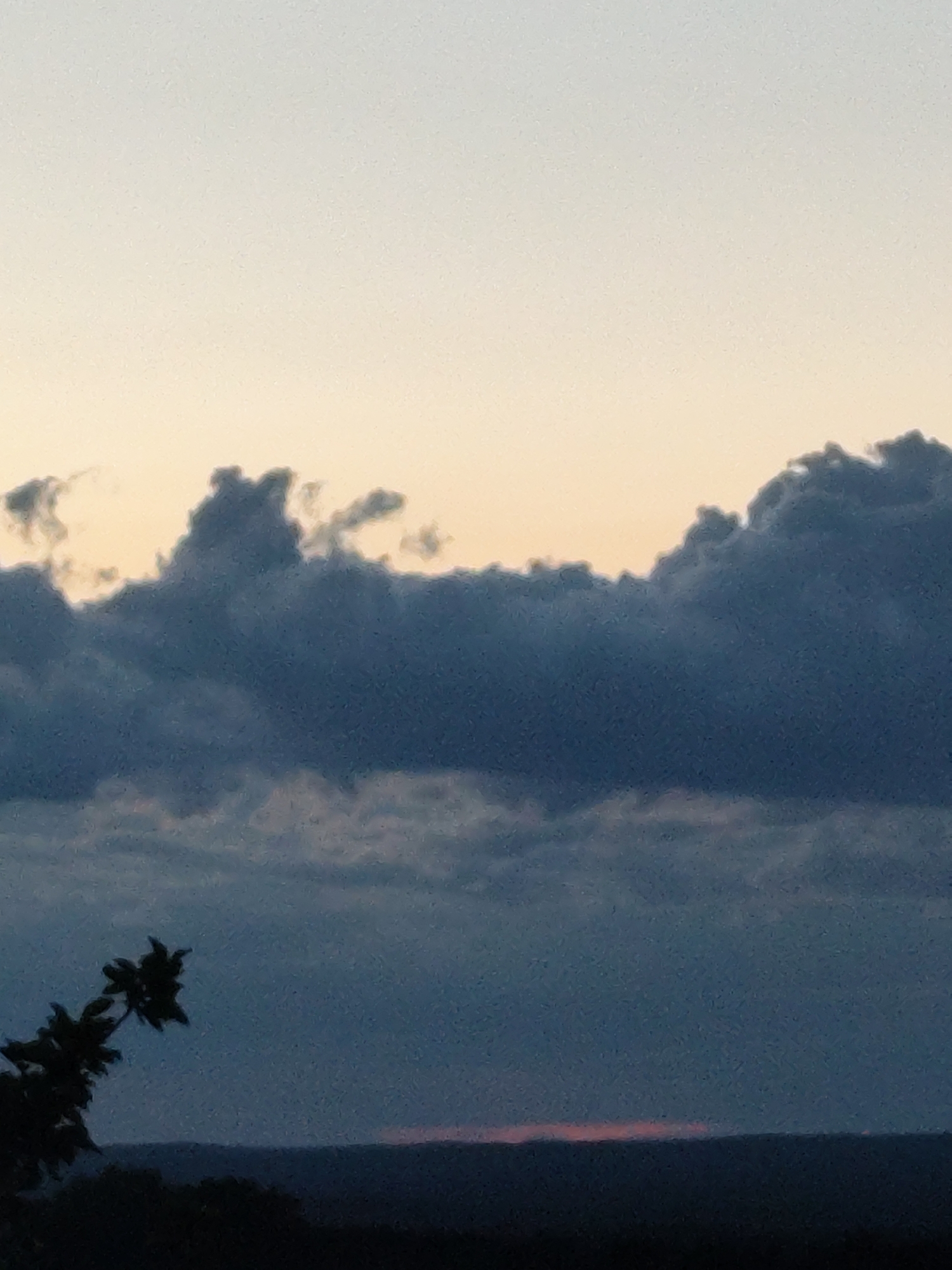 The image depicts a twilight sky with dark, dramatic clouds partially obscuring a pale yellow and blue gradient. A silhouetted branch with leaves juts in from the lower left. Below the clouds, a dark horizon line suggests land, with a faint pinkish glow near the horizon. The scene is devoid of people or discernible structures. The photograph appears to have been taken from an elevated position, possibly a hillside overlooking a natural landscape, with no specific urban features of Zielona Góra, Poland visible.