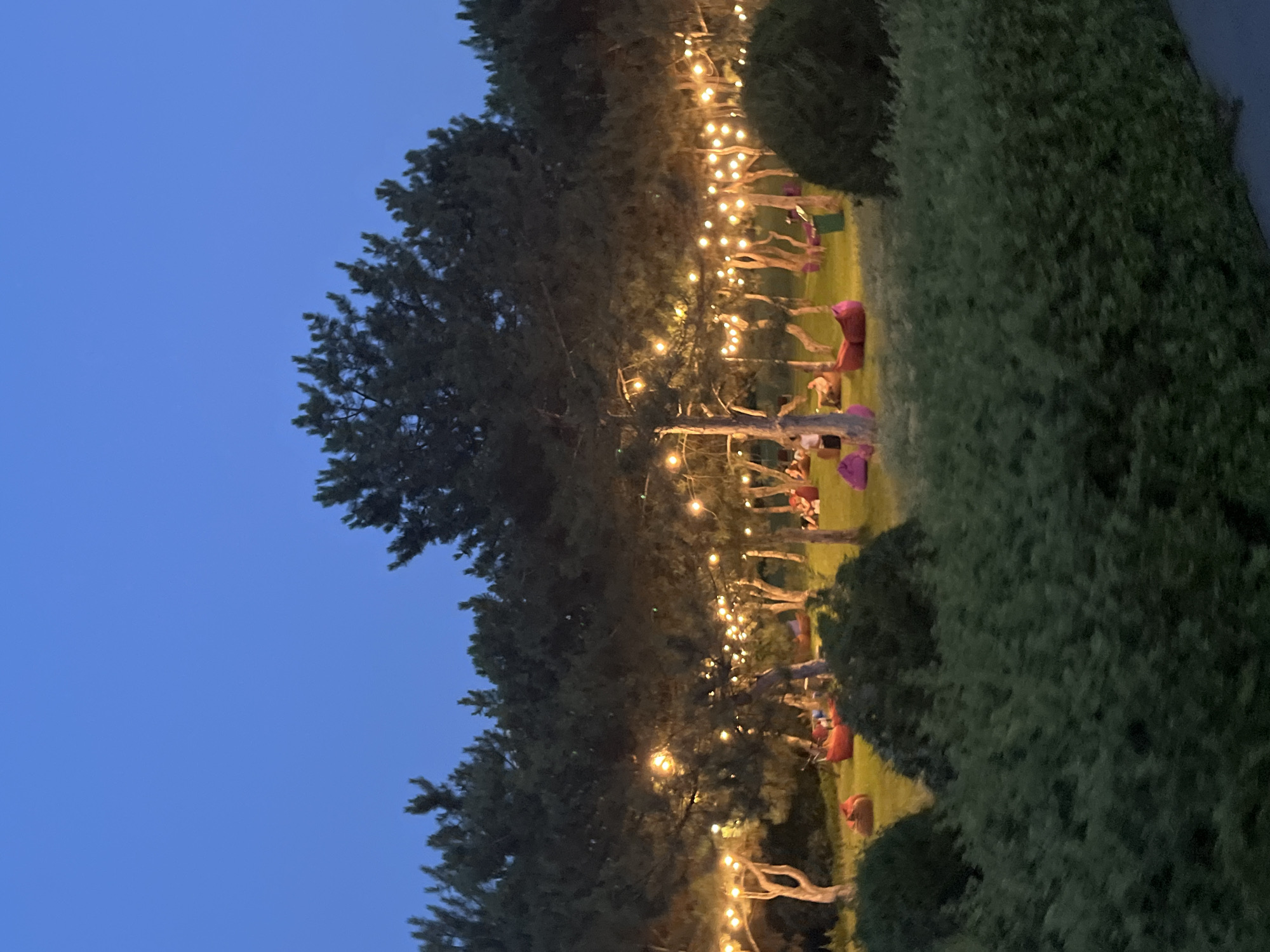 The image depicts an outdoor seating area at dusk, characterized by a dark blue sky and the warm glow of string lights draped between trees. The ground is covered in green grass, and several large, beanbag-style chairs in various shades of red and pink are scattered throughout the area. A few individuals are visible, seated or lounging on these chairs, engaged in quiet conversation or relaxation. The trees are tall and appear to be pine or a similar coniferous species, with their branches sparsely lit by the string lights. In the foreground, a dense hedge or bush provides a dark, leafy barrier, obscuring a portion of the scene. The overall atmosphere is serene and inviting, suggesting a peaceful evening gathering. This scene is located at the Dnipro National University's botanical garden.
