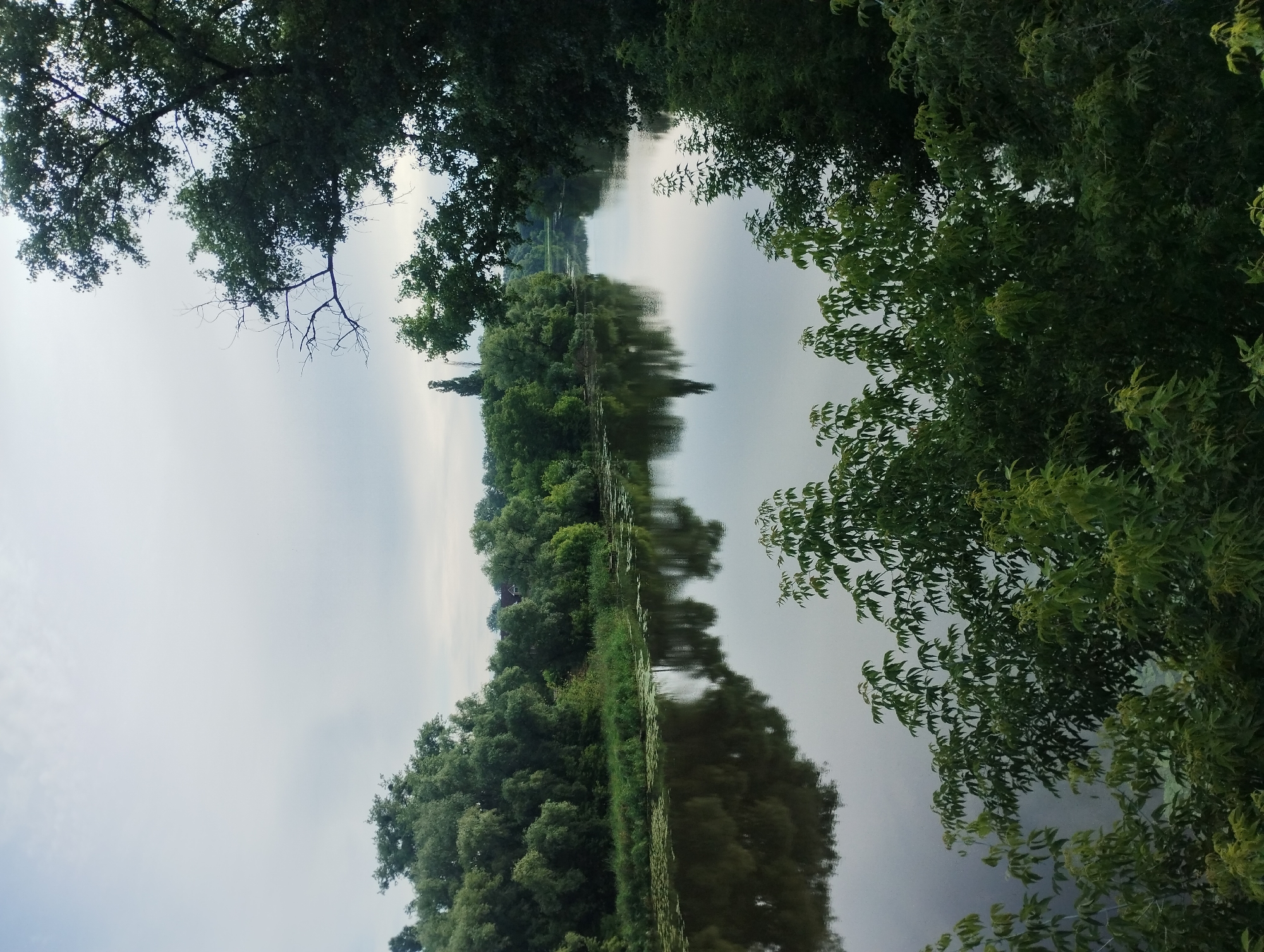 The image shows a tranquil river scene with lush green trees lining its banks. The sky is overcast, casting a soft, diffused light over the landscape. The river's surface is calm, reflecting the trees and the sky. In the distance, a tall, slender structure, possibly a spire or smokestack, rises above the treeline. The foreground is filled with the dense foliage of trees, adding depth and framing the view of the river. This scene is characteristic of the river Psel within the city of Sumy, Ukraine, a natural area enjoyed for its peaceful and scenic beauty.