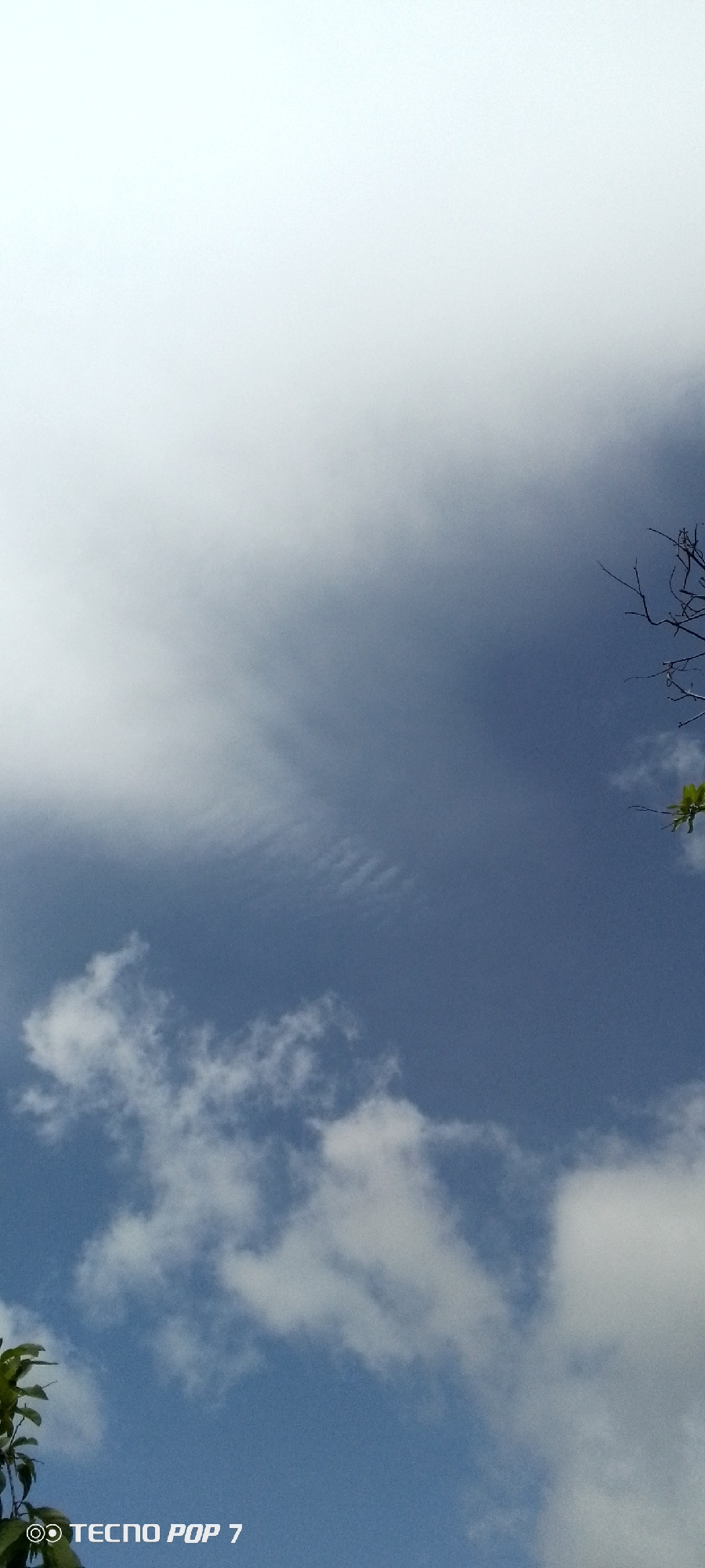 The image shows a clear blue sky with scattered white clouds. There are also some tree branches visible in the upper right and lower left corners of the image. The bottom left corner of the image contains a watermark that reads "TECNO POP 7". The scene is consistent with an outdoor environment, possibly in a city like Altagracia, Venezuela, given the watermark. There are no people or specific actions depicted in the image.