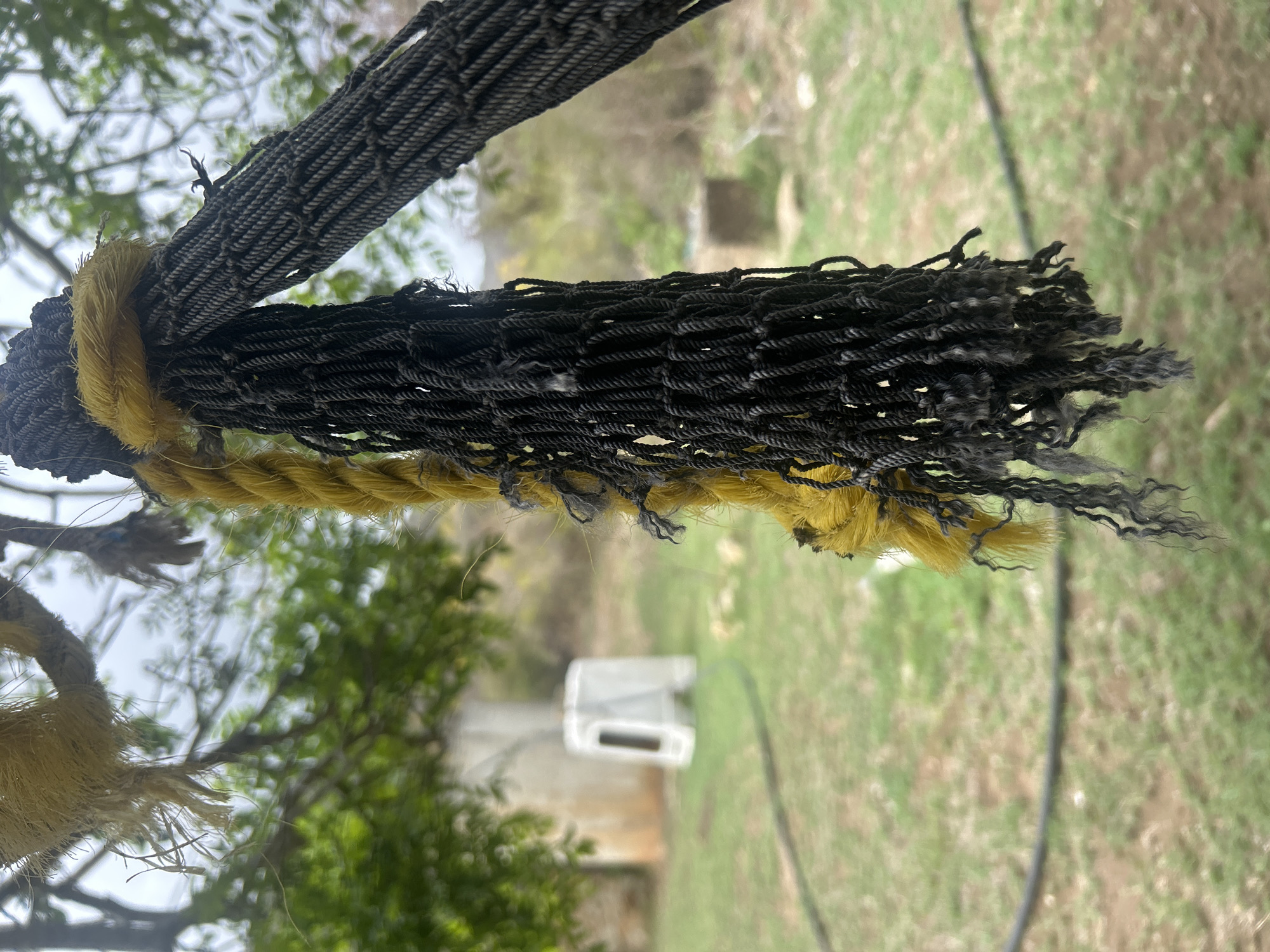 The image displays a close-up, shallow depth-of-field view of multiple ropes outdoors in Guayacán, Venezuela. In the immediate foreground, a thick, yellow, three-strand twisted rope hangs from the upper left, exhibiting significant fraying and splayed fibers at its terminus. A bundle of dark gray/black ropes, possibly forming a net or tightly packed strands, is centrally suspended. This bundle is secured near its top by a tightly wound section of yellow rope. The lower portion of the black rope bundle is heavily frayed and entangled, with individual strands varying in curl and length. To the right, a thick, braided or woven dark gray/black rope or cable extends diagonally upward and out of frame. The background, out of focus, features green foliage and trees, with an overcast sky visible through the canopy. On the mid-ground, a white, hollow, rectangular object resembling a plastic stool or step is positioned on a patch of grass. A dark, slender object, consistent with a hose or cable, lies horizontally across the ground, which consists of green grass and areas of exposed brown earth. A light-colored structure is partially discernible in the distant background. No individuals or animals are present.