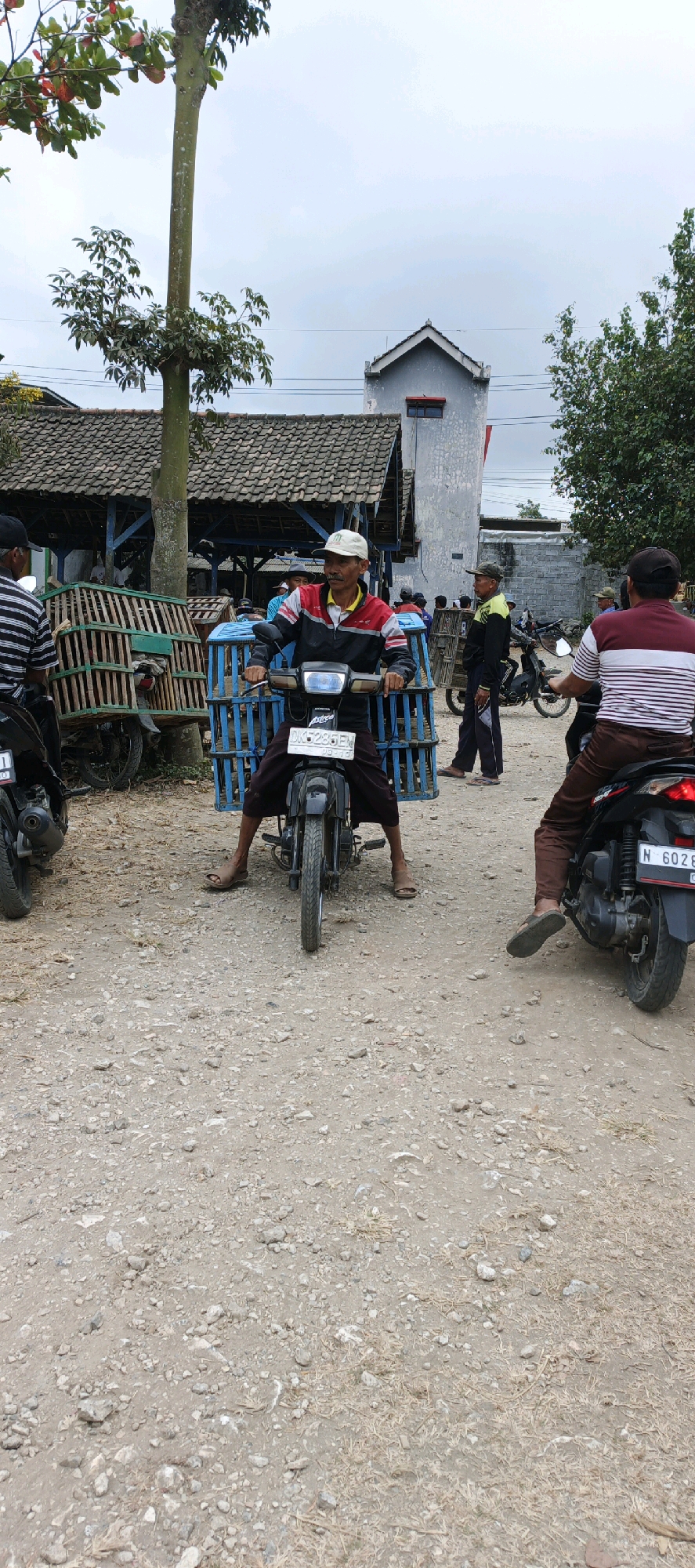 A man wearing a white baseball cap, a black jacket with red and white stripes, and dark pants is riding a black motorcycle with a license plate that reads "DK 5285 EN". He is carrying a large blue plastic crate on the back of his motorcycle. The motorcycle is on a dirt road in front of a building with a tiled roof. There are other motorcycles and people in the background. The scene appears to be in a rural or semi-rural area in Kasiyan, Indonesia. The sky is overcast.