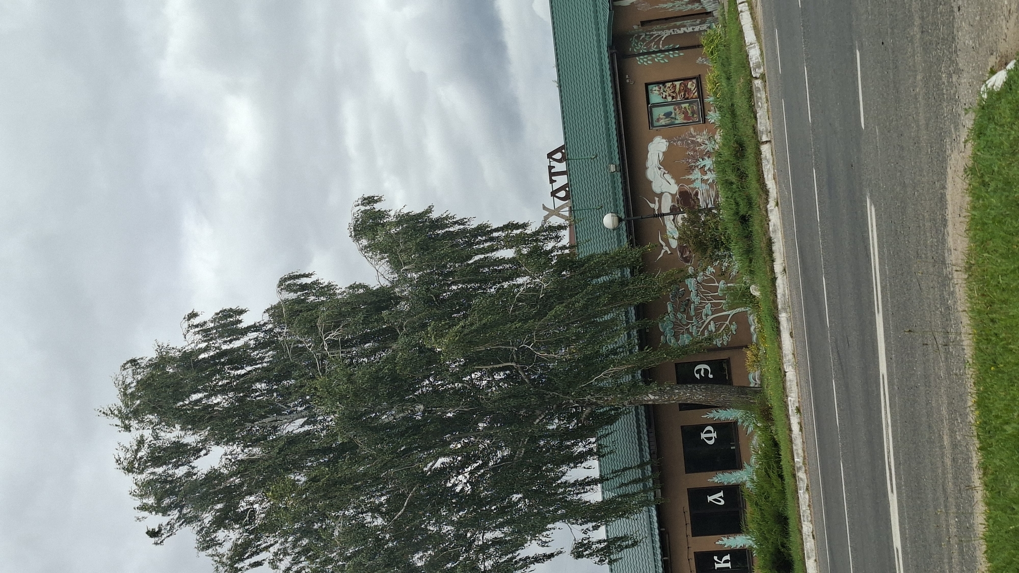 A brown building with a green roof is situated in the city of Myadzyel, Belarus. The building has windows with letters and symbols visible on them, including "K", "Л", "Ф", and "Э". A large tree with green leaves is in front of the building, and there are murals painted on the side of the building depicting trees, birds, and other natural scenes. A street with two lanes of traffic is in the foreground, with a grassy area separating the street from the building. The sky is overcast.