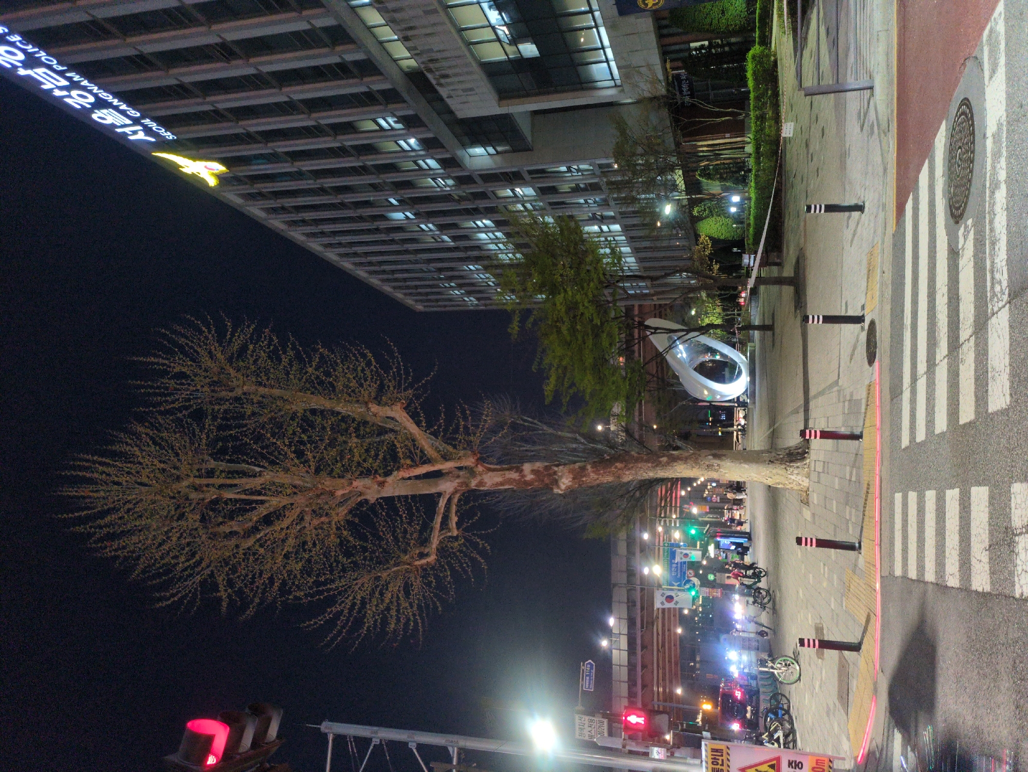 The image depicts a nighttime street scene in Seoul, South Korea, dominated by a large tree devoid of leaves in the foreground. The street runs horizontally, with a pedestrian crosswalk visible on the right side, marked by white stripes. The street appears to be moderately busy with some pedestrians and bicycles. A modern, streamlined sculpture is placed along the sidewalk. Overhead streetlights and various lighted signs are visible. A multi-story building with illuminated windows and a prominent sign in Korean and English ("SEOUL GANGNAM POLICE S") stretches across the top of the image. Traffic lights are visible in the lower left corner, indicating that the traffic signal is red.