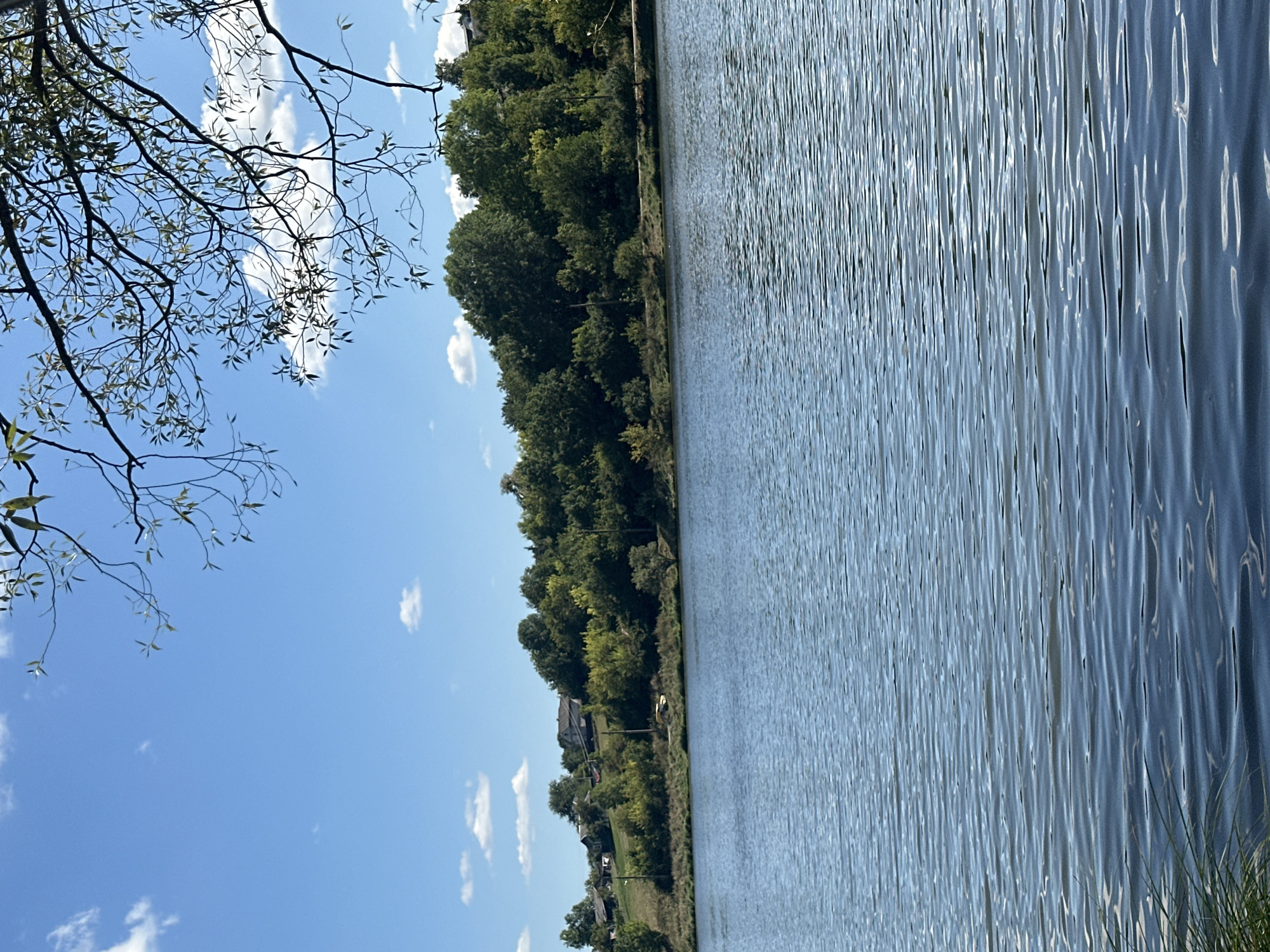 This image depicts a serene natural landscape, likely near Makiv, Ukraine. In the foreground, a body of water with gentle ripples stretches across the frame, reflecting the bright blue sky dotted with scattered white clouds. The water's surface is textured by the wind, creating horizontal lines of light and shadow. In the midground, a lush green treeline borders the water, forming a natural embankment. Beyond the trees, on a gentle slope, a cluster of houses can be seen, suggesting a rural or semi-rural settlement. The houses are spread out and appear to be traditional in design, nestled among the trees. The overall impression is one of tranquility and natural beauty, with the settlement harmoniously integrated into the landscape. The image is dominated by natural elements, with the houses providing a subtle human presence.