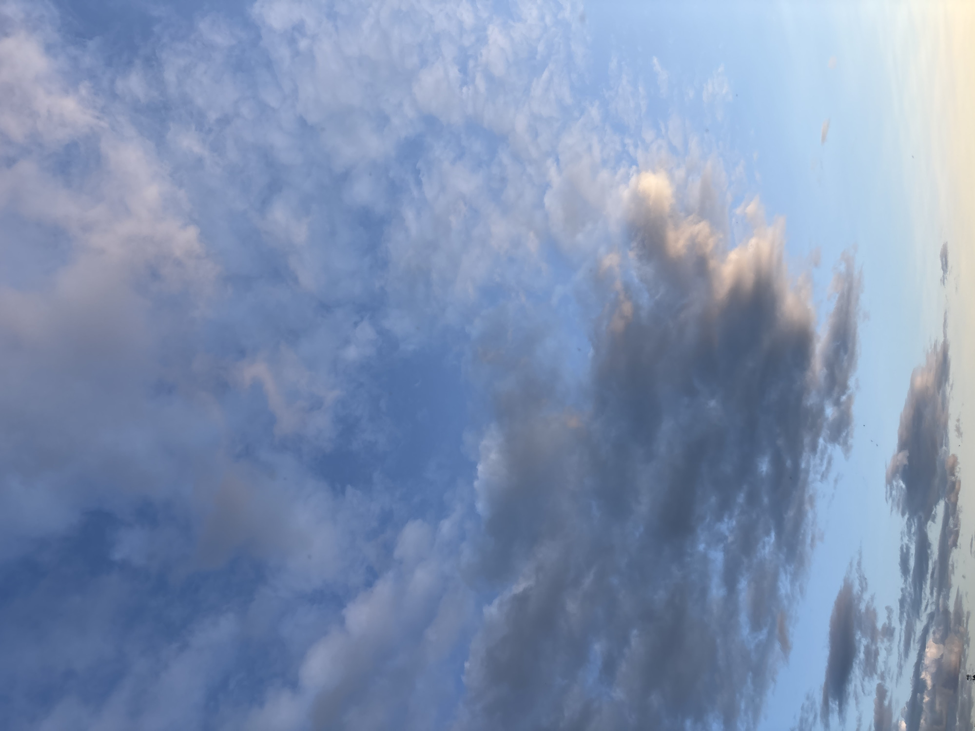 The image is a vertical, full-frame, eye-level shot of a sky with scattered clouds. The sky transitions from a light blue at the bottom to a deeper blue towards the top. The clouds are predominantly white and gray, with some areas tinged with pink and orange, suggesting it might be near sunrise or sunset. The cloud formations vary in density and shape, with some appearing wispy and others more dense and textured. The bottom of the image shows a sliver of what appears to be land or a very distant horizon, with faint, dark shapes that could be trees or structures, possibly in the city of Zvenigorod, Russia, given the context. There are no people or animals clearly visible.
