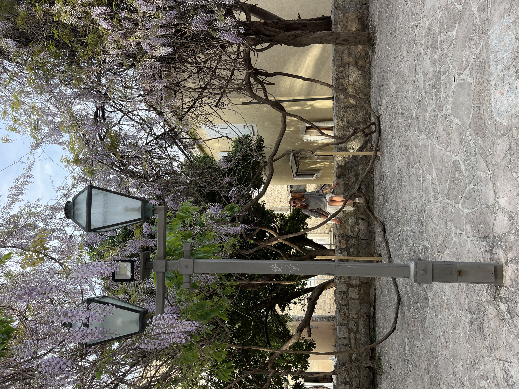 The image depicts a street scene in Budva, Montenegro. A woman sits on a wall near a lamp post and a tree with cascading purple flowers. The ground is paved with stone. The building in the background has light-colored walls and visible windows. The overall scene is bathed in natural light.