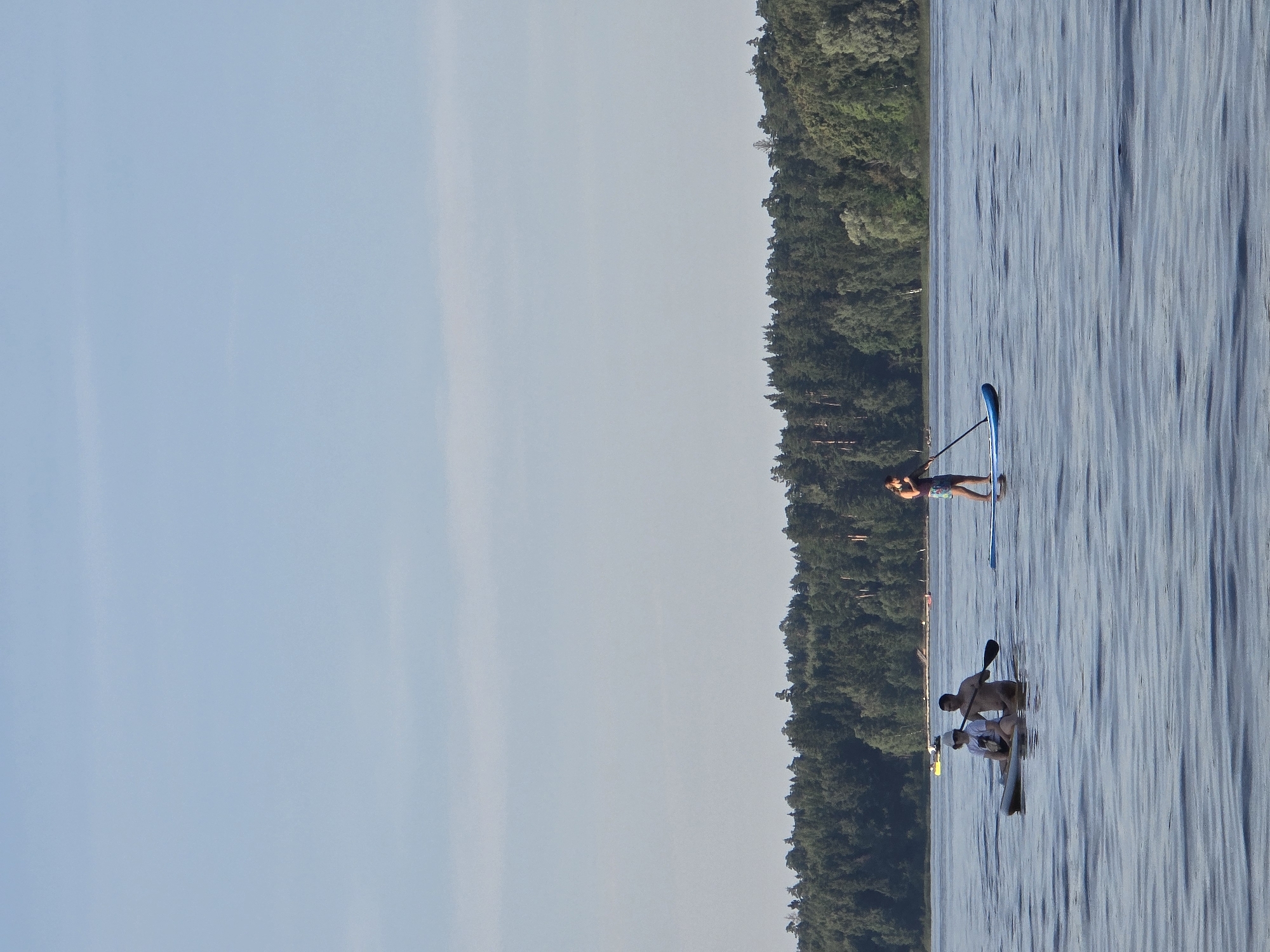 The image captures a serene natural scene on a body of water, likely a lake or a wide river, near the settlement of Kuybyshev Hydroelectric Station, Russia. The sky above is a clear, pale blue with faint wisps of clouds. A dense, dark green forest lines the distant horizon, creating a natural backdrop. In the foreground, the water is a deep blue, with gentle ripples disturbing its surface.
Three individuals are engaged in recreational activities on the water. On the left, two people are seated on a paddleboard. The person in front is wearing a white t-shirt and a white cap, while the person behind them, a male, is shirtless and holding a paddle. They appear to be moving together on the board. To the right of them, another person is standing on a blue paddleboard, holding a paddle and appears to be actively paddling. In the far distance, a yellow boat can be seen on the water, and further back, other small boats or watercraft are visible near the shore. The overall atmosphere is peaceful and recreational, indicative of a pleasant day outdoors.