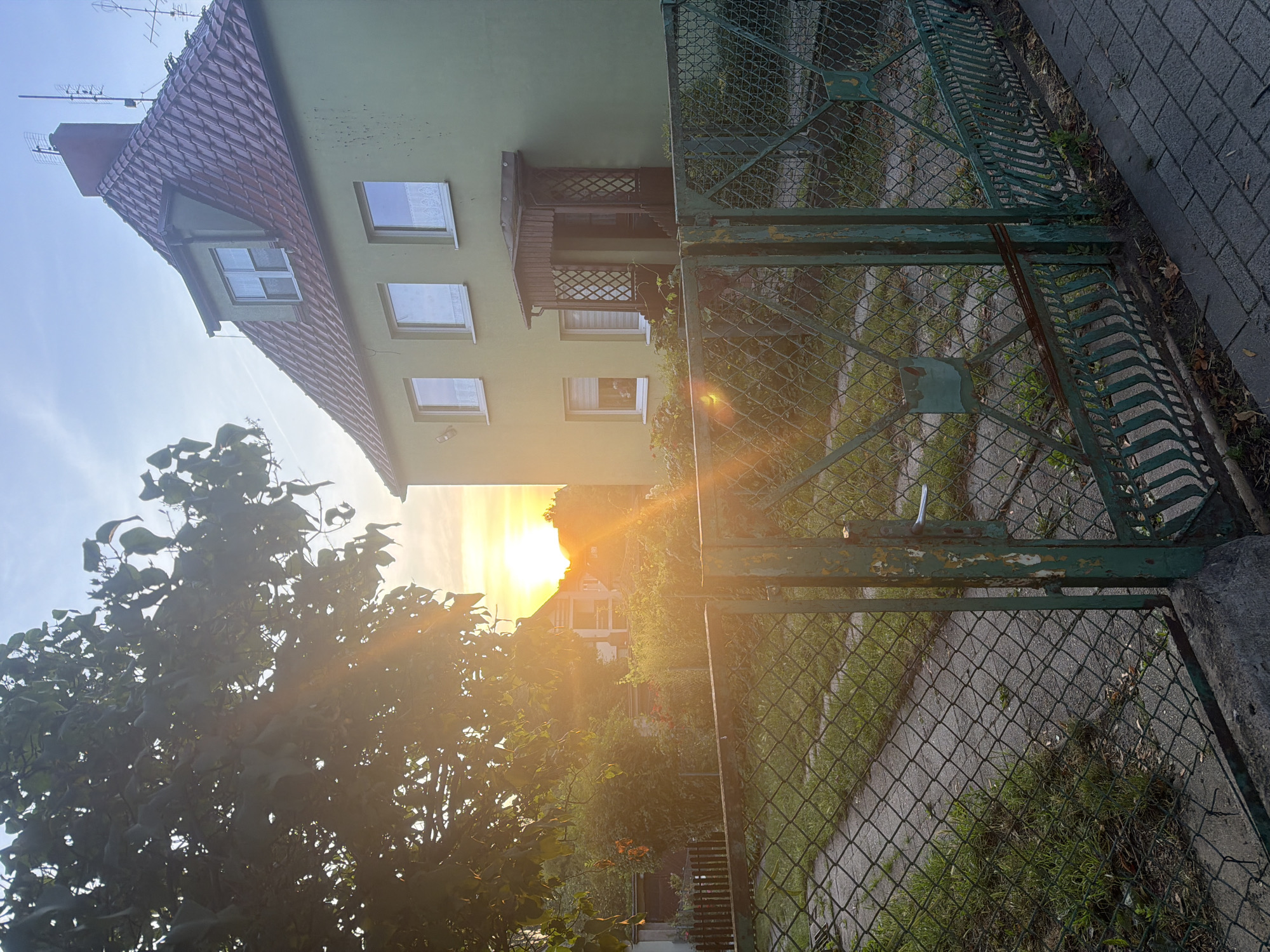 An outdoor, eye-level, vertical shot captures a residential property at sunset in Szczecin, Poland. The sun, low on the horizon, casts a warm, orange glow through the leaves of a large tree on the left, creating lens flare effects. A two-story, light green house with a red tiled roof is visible on the right. The house features several white-framed windows and a small wooden porch. In the foreground, a rusty, green metal fence with diamond-shaped wire mesh separates the property from a paved sidewalk. Beyond the fence, a narrow paved path leads into the yard, which is overgrown with grass and various plants. The sky is clear with faint wisps of clouds. No people or animals are present.