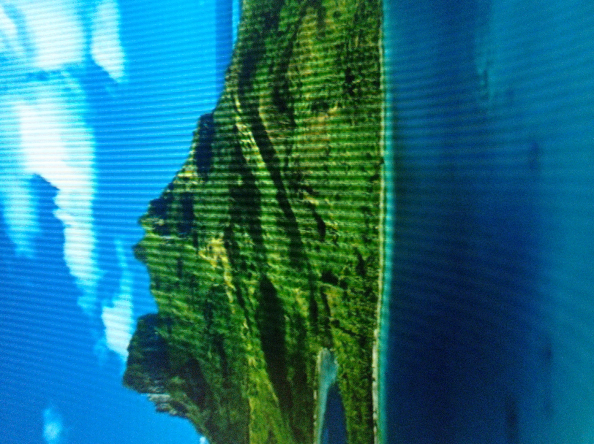 The image displays a scenic aerial view of a lush green volcanic island situated in a vibrant blue ocean. The island is characterized by steep, rugged terrain covered in dense vegetation, with a prominent peak dominating the landscape. Fluffy white clouds dot the clear blue sky above. The water surrounding the island is a deep, tranquil blue, with hints of turquoise near the shore. The image does not contain any elements that would suggest a location in the city of Mukachevo, Ukraine.