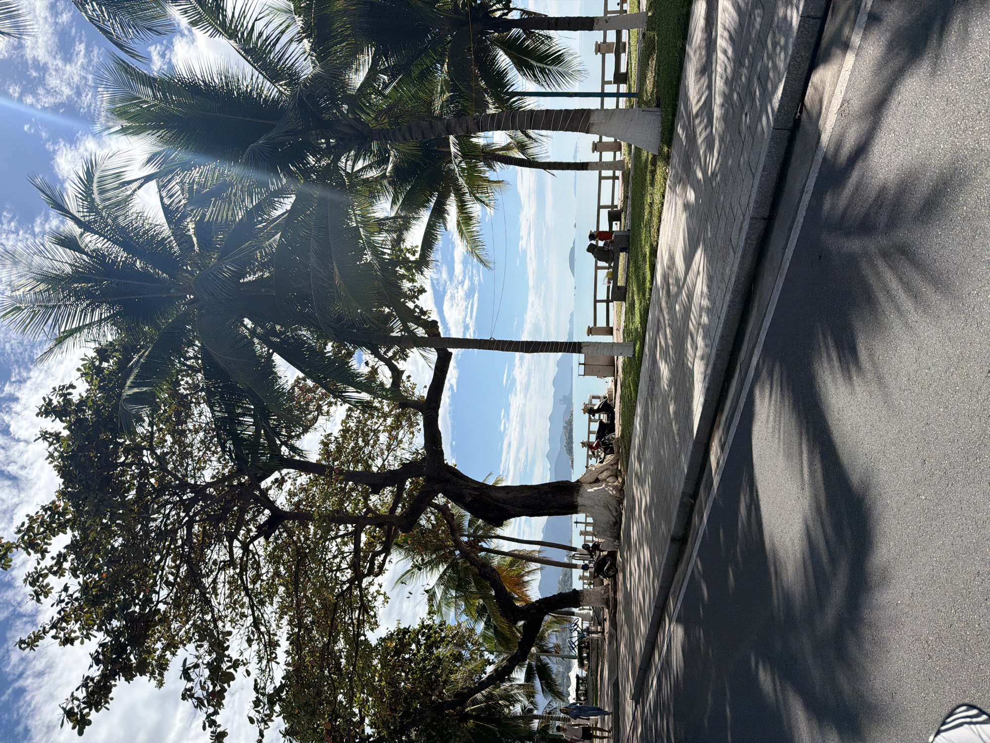 The image presents a vibrant, sun-drenched coastal scene in Nha Trang Ward, Vietnam, depicting a leisure area alongside the sea.
A paved road with a white dividing line runs along the left side, paralleled by a concrete sidewalk and a strip of manicured green grass. Beyond these, a line of tall palm trees with lush green fronds and a large, mature tree with a thick, gnarled trunk and broad leaves define the middle ground. Some of the tree trunks, particularly the palm trees, have their bases painted white. The sea occupies the right side of the frame, stretching towards a distant horizon marked by faint mountains or landmasses under a clear, bright blue sky with scattered white clouds.
Several people are visible along a promenade situated between the trees and the water. Some are seated on benches, seemingly enjoying the view, while others appear to be strolling. The activity suggests a relaxed atmosphere, with people taking advantage of the pleasant weather and scenic environment.
Notable details include the bright sunlight, which streams through the palm leaves, creating distinct lens flare effects and casting long, intricate shadows of the trees and their fronds across the road and sidewalk. This indicates a sunny day, likely late morning or early afternoon. The general ambiance is tranquil and tropical, characteristic of a coastal resort area. No visible text or signage is discernible in the image.
