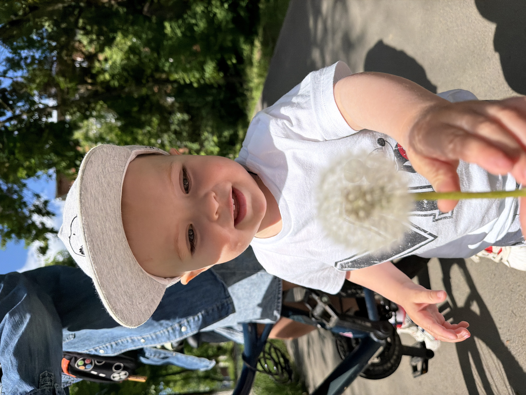 A young child is captured in a close-up, three-quarter view, extending their right arm forward, presenting a white dandelion puffball with a green stem. The child, appearing to be a toddler, wears a light grey baseball cap with a subtle dark design and a white short-sleeved t-shirt with a faint graphic print. Their eyes are brown, and a slight smile is visible, showing some upper teeth. The child's face is well-lit, suggesting direct sunlight.
In the background, to the left, a portion of an adult or older individual is visible, dressed in denim attire, including what appears to be a light blue denim top and darker denim shorts or pants. A black utility pouch, featuring colorful circular buttons resembling a game controller, is attached to their waist. Adjacent to this individual, a dark-colored bicycle is partially visible, with its frame, pedals, and part of a wheel discernible.
The scene is set outdoors on a sunny day in the city of Votkinsk, Russia. The ground beneath the subjects is a grey paved path, suggesting a sidewalk or a trail in a park. Lush green foliage and tree canopies form a natural backdrop, with patches of clear blue sky visible through the leaves. Strong shadows are cast on the paved surface, indicating the presence of direct sunlight.