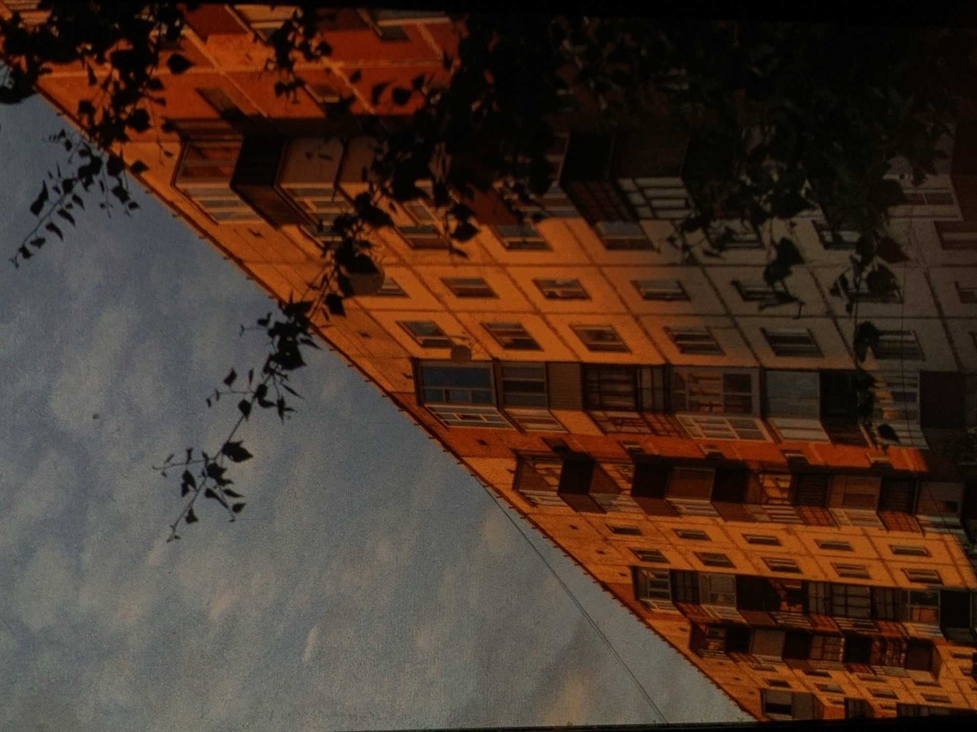 The image depicts a long, multi-story apartment building with a facade illuminated by warm, golden light, suggesting either sunrise or sunset. The building features numerous windows and balconies, some of which are enclosed with glass and others open. The architecture appears to be typical of Soviet-era apartment blocks. In the foreground and parts of the background, dark silhouettes of trees with sparse foliage obscure portions of the building. The sky above is a muted blue with scattered, soft clouds. The overall impression is one of a residential urban environment under specific lighting conditions. The specific location in Nizhny Tagil, Russia is not visually discernible from the image itself.